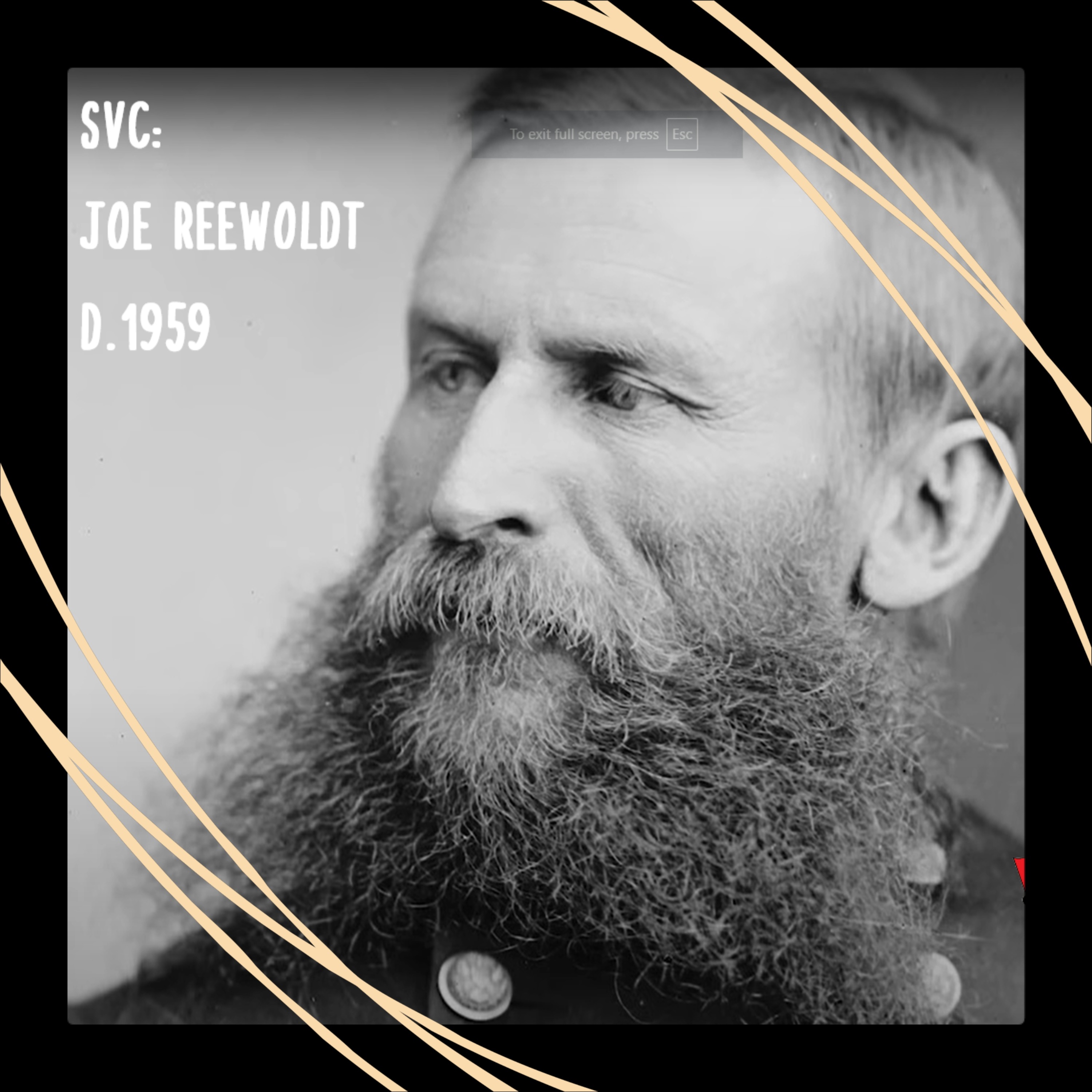 Hohenzollern Romanov Habsburg Hitler & Webb Family History Facts. Serendipity Vs. Conspiracy.