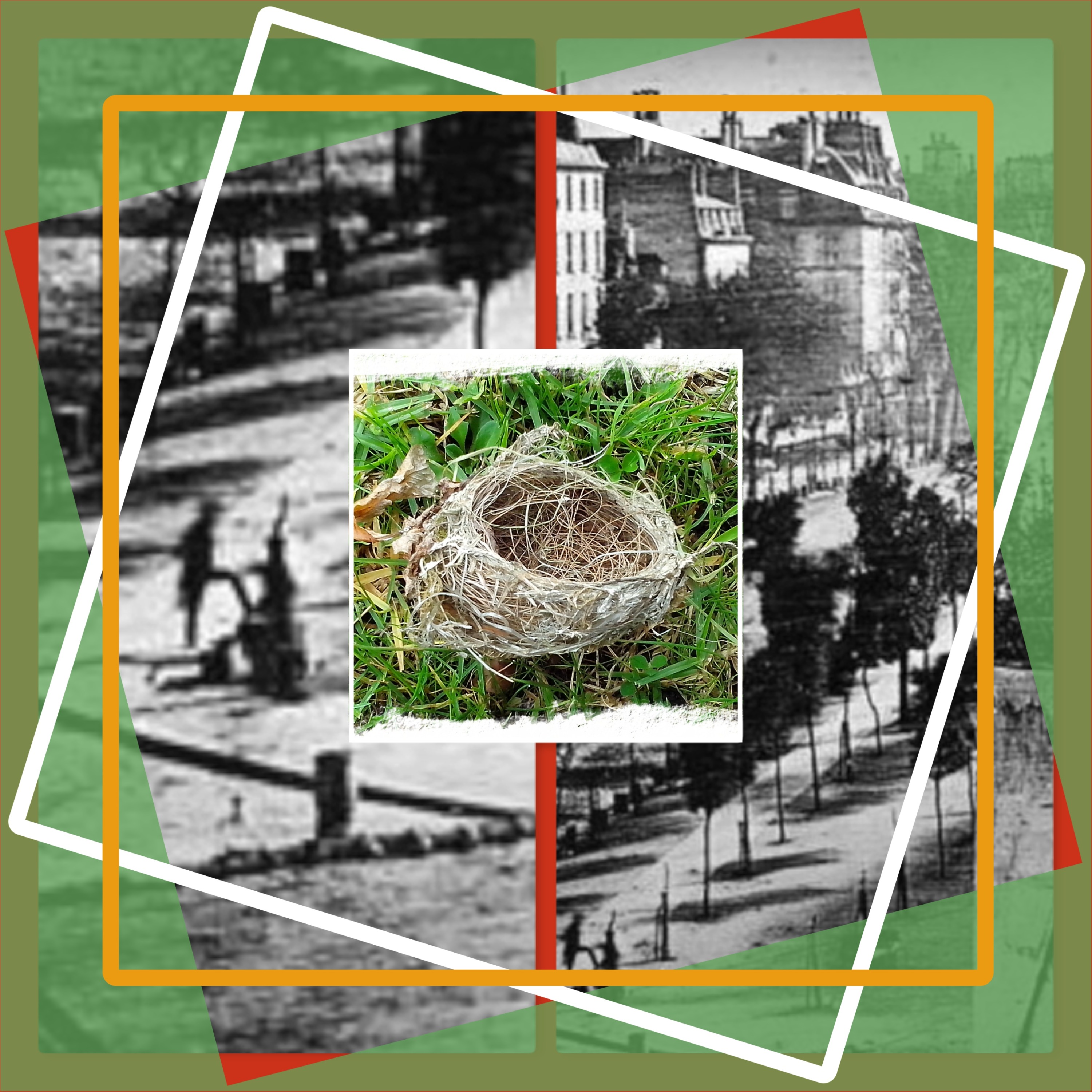 SvC 3|3 Yarragon City, Gippsland: Thefts of Entire Native Speices of Feline, Post Arson Riot, Whilst the Milltary was Catstrophically Busy. A Nearby Nation was Responsible. A National Branding Torture Tease Followed.