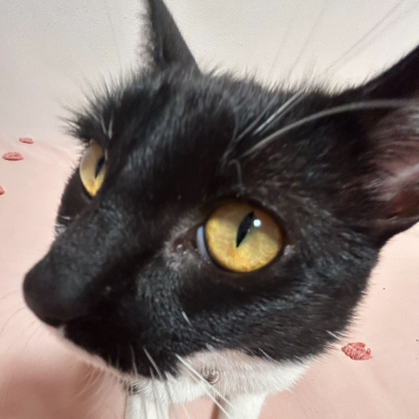 Ser humano y sociedad