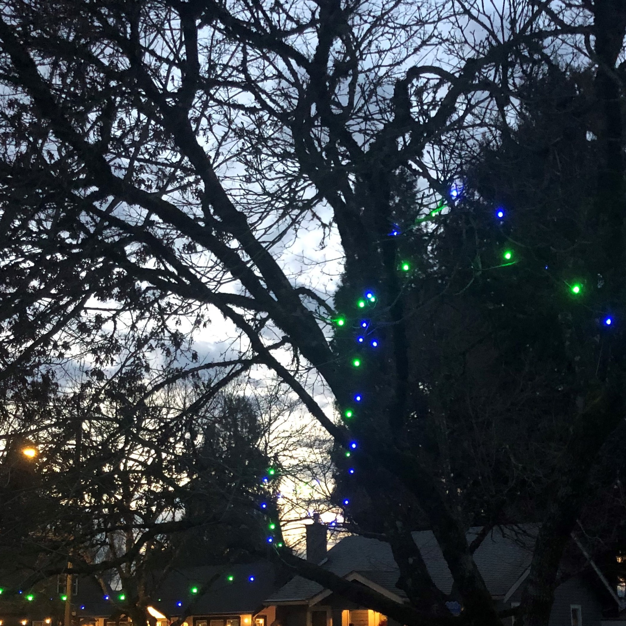 Serial Pacific Northwest cover art