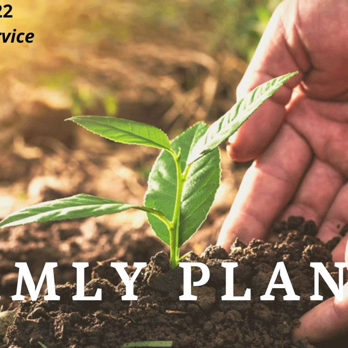 334. Ella and Jacob from Blessed Community Church - Firmly Planted episode artwork
