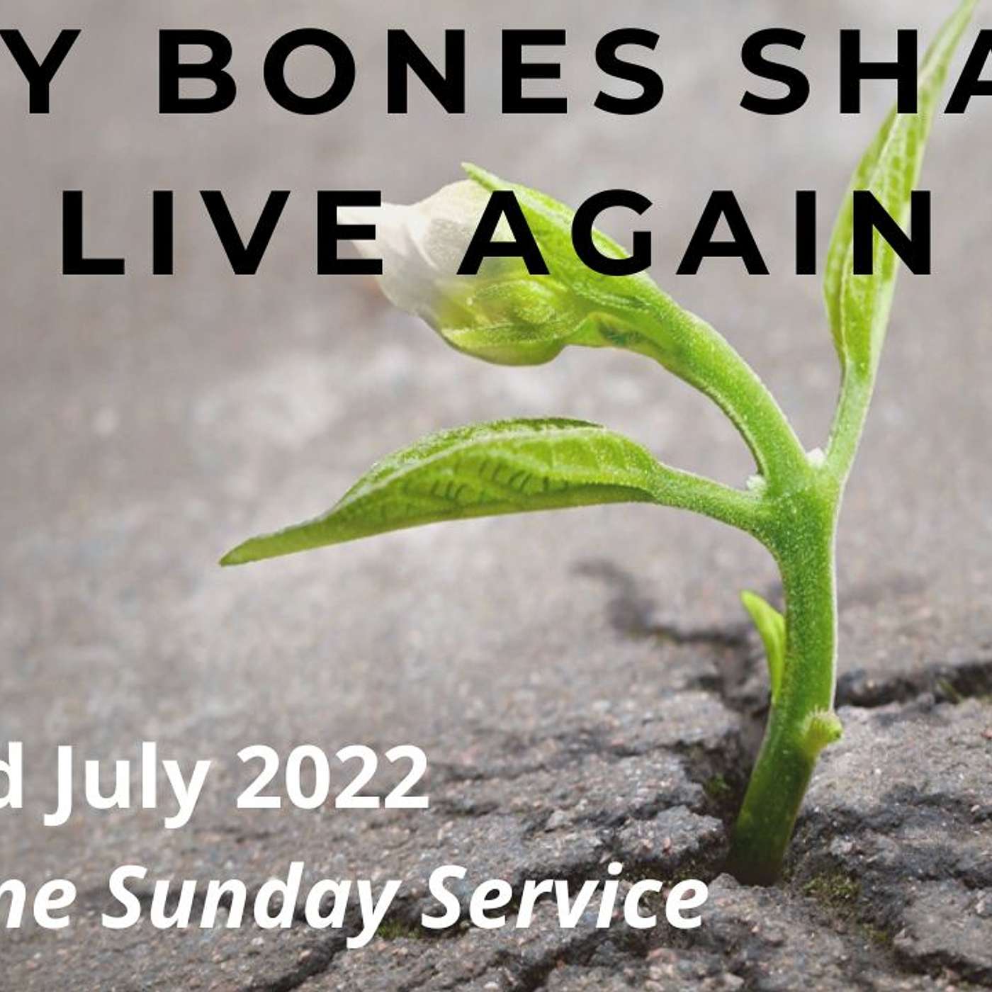 322. Pastor Tina Jones - Dry Bones Shall Rise Again! episode artwork