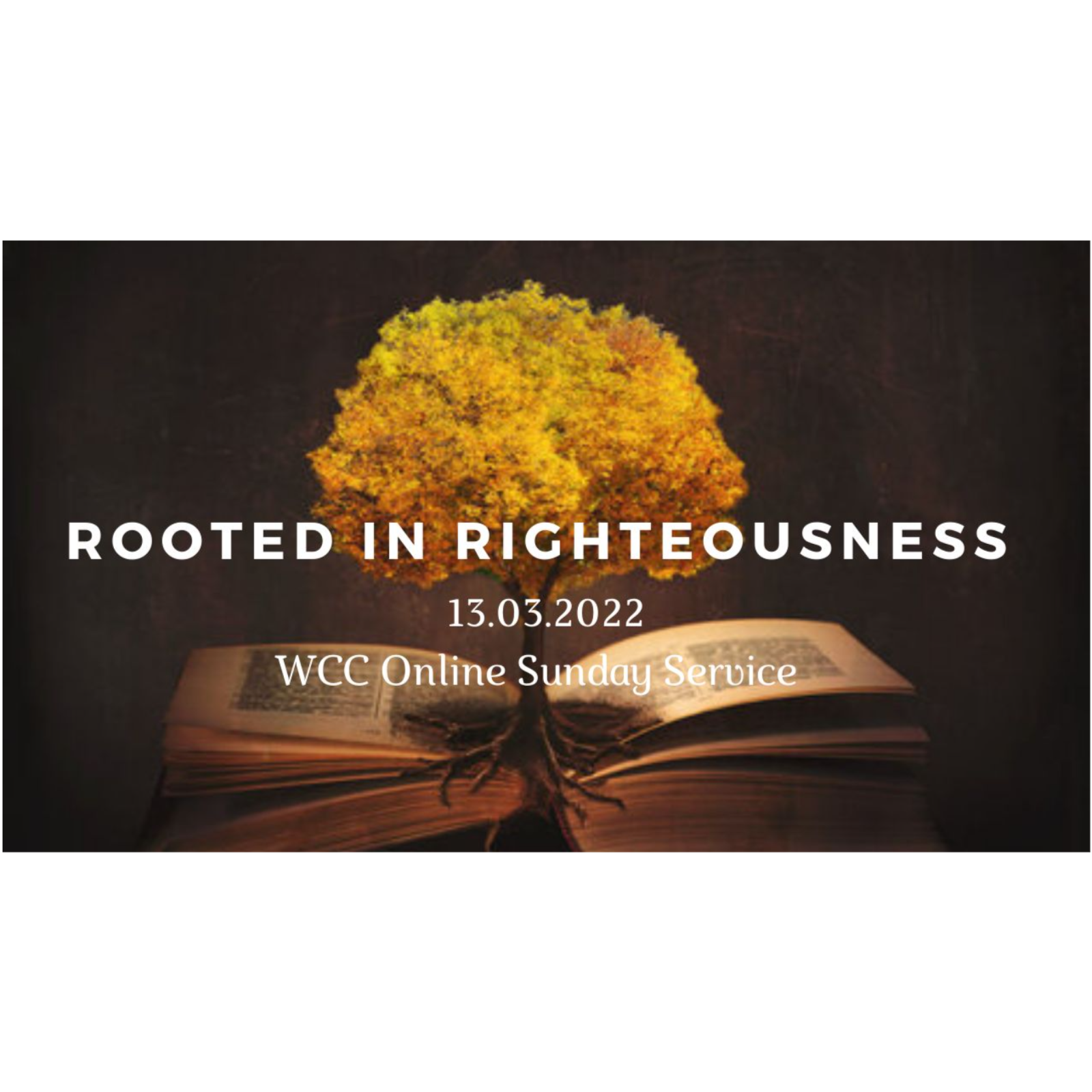 312. Jacob from Bless Community Church  - Rooted in Righteousness episode artwork
