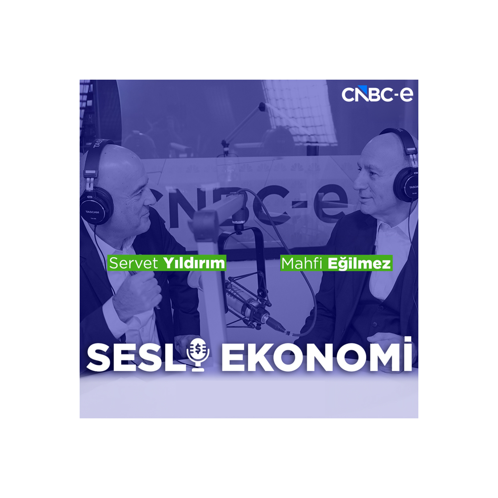 Sesli Ekonomi Bölüm 65: Piyasa aldırmazlığı teorisi  episode artwork