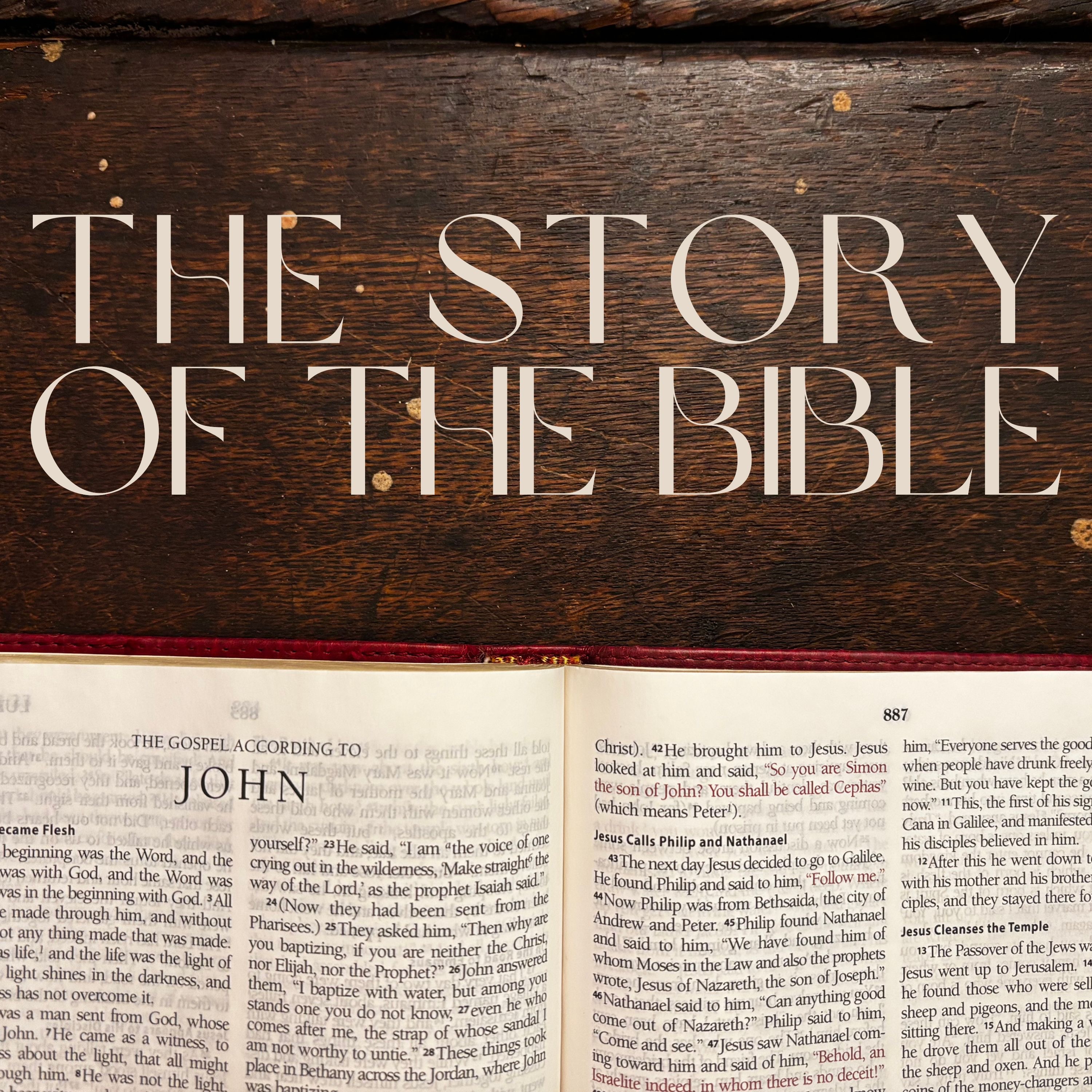 The Story of the Bible
