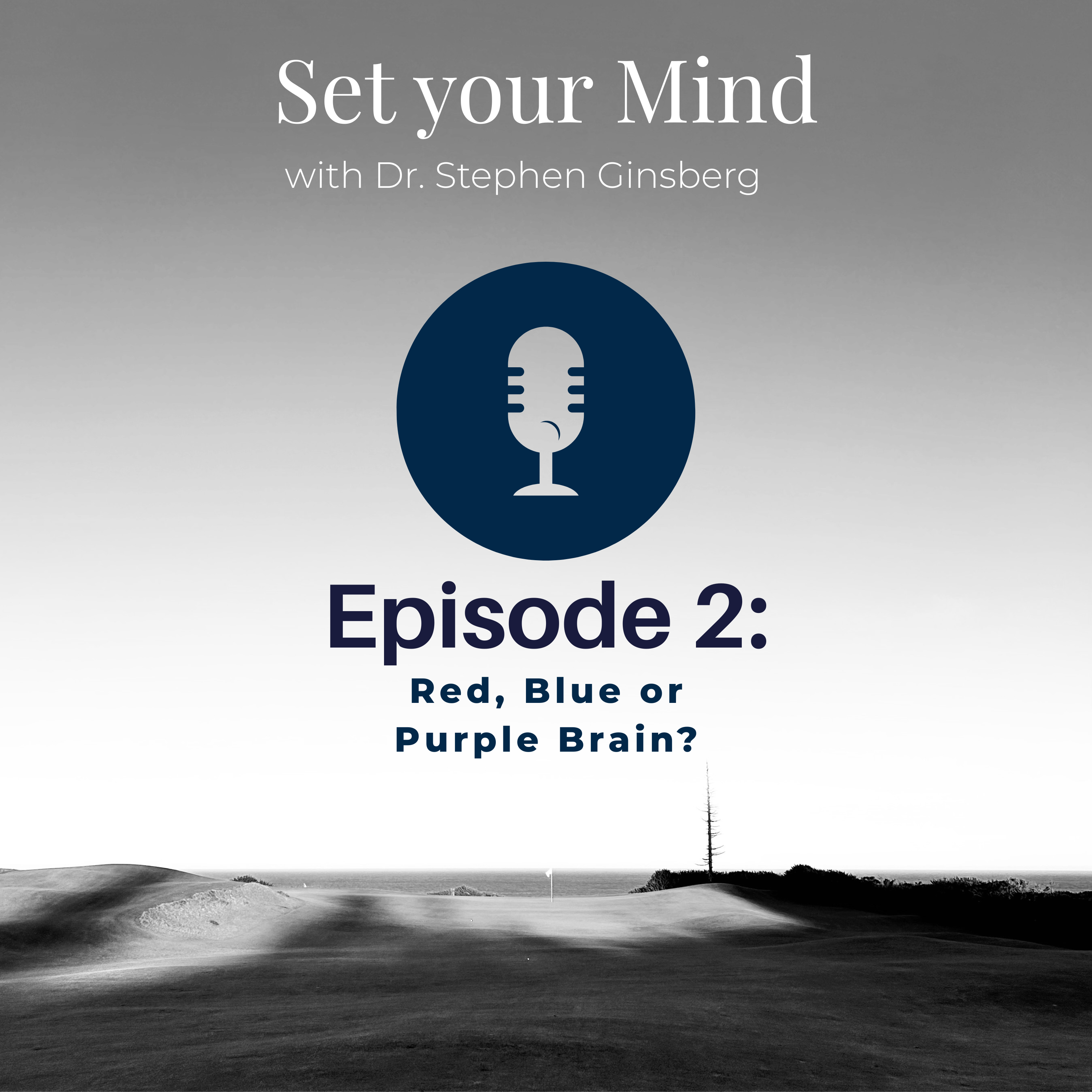 Episode 2: Red, Blue, or Purple Brain? episode artwork