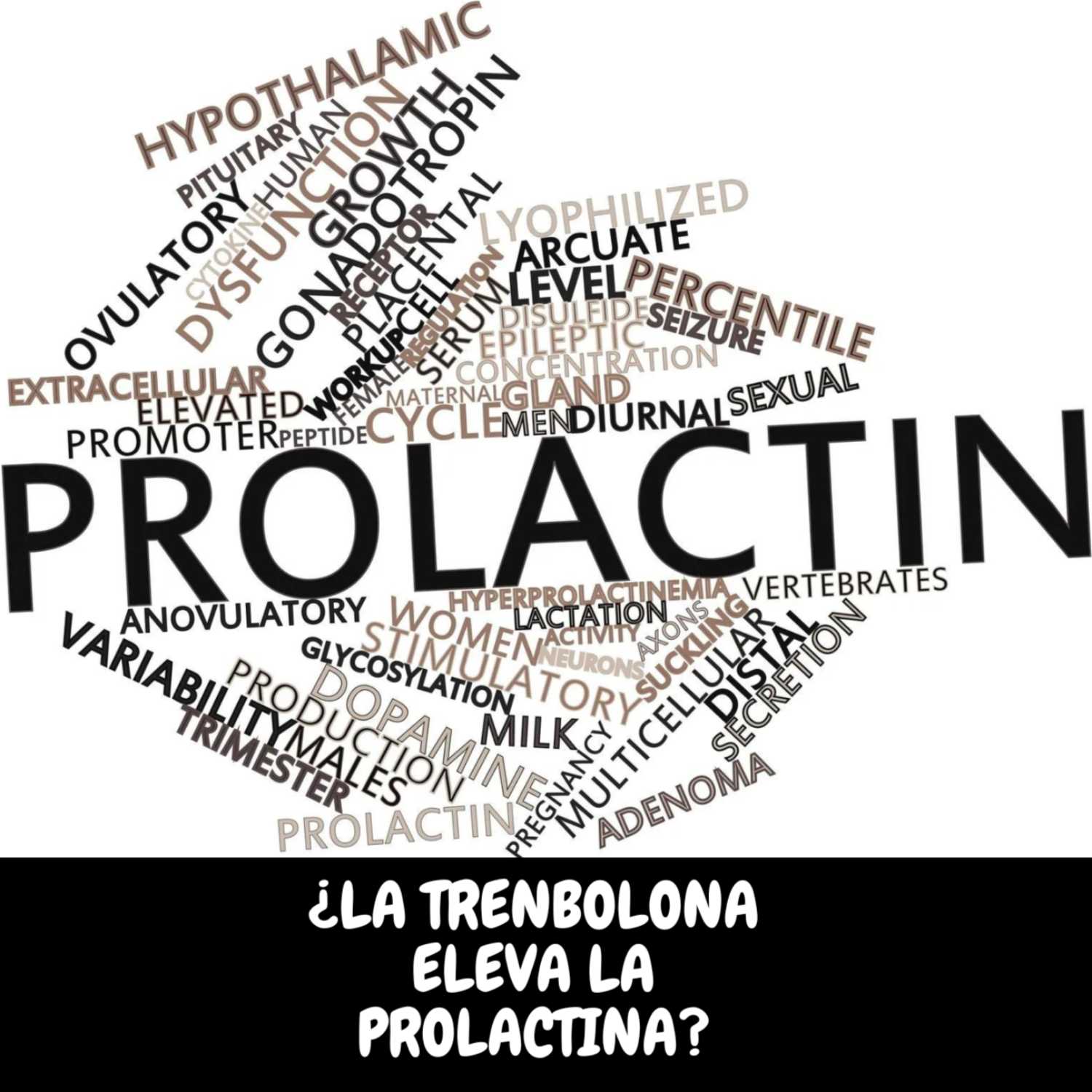 QUÍMICA