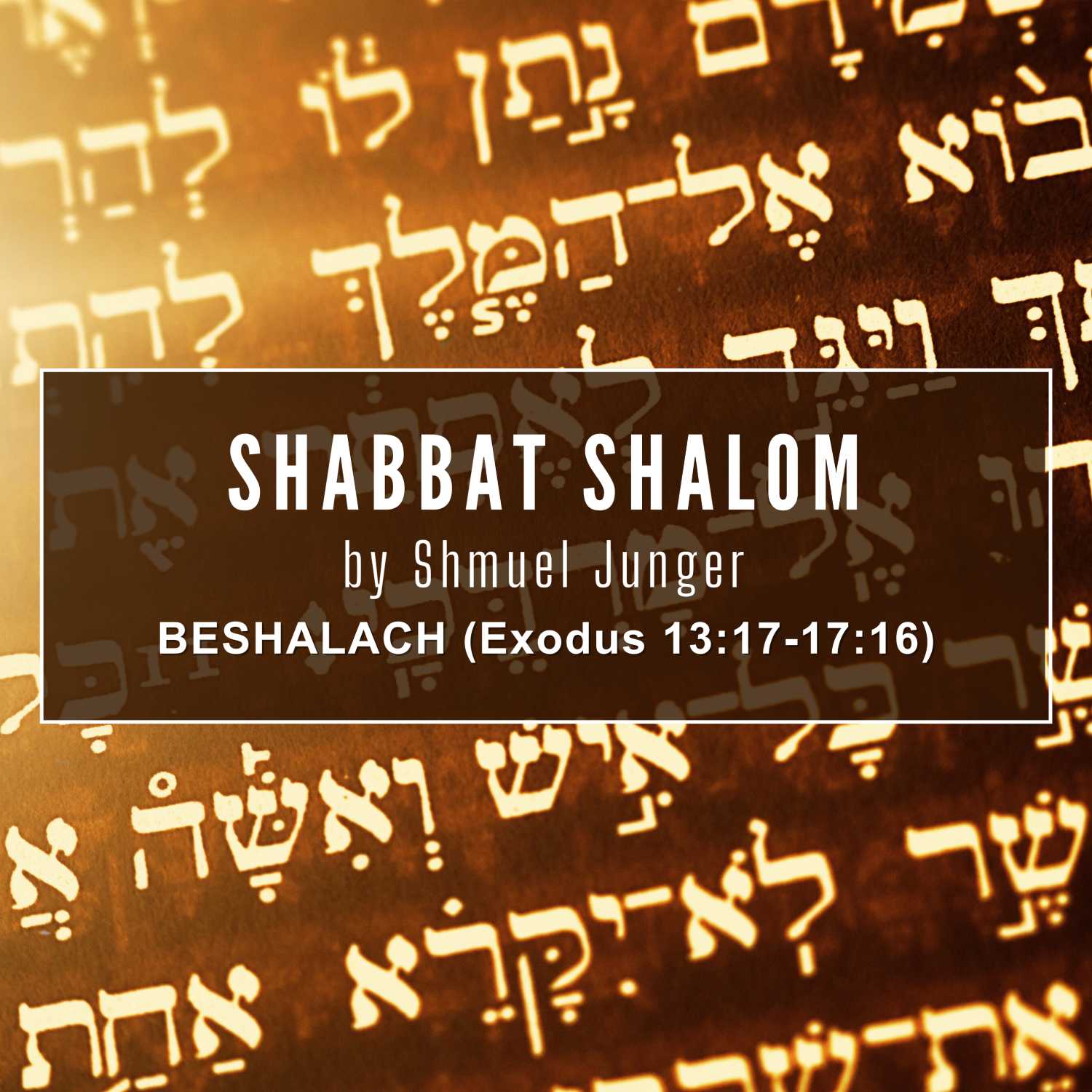 Shabbat Shalom from Shmuel!