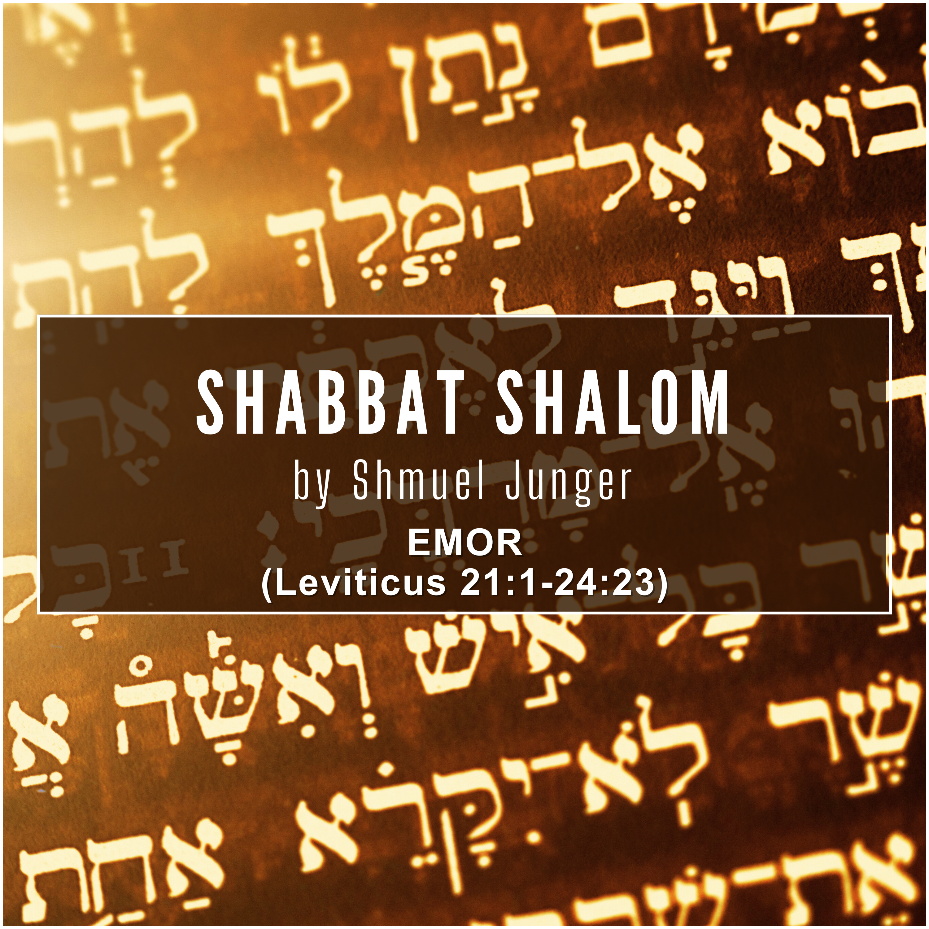 Shabbat Shalom from Shmuel!