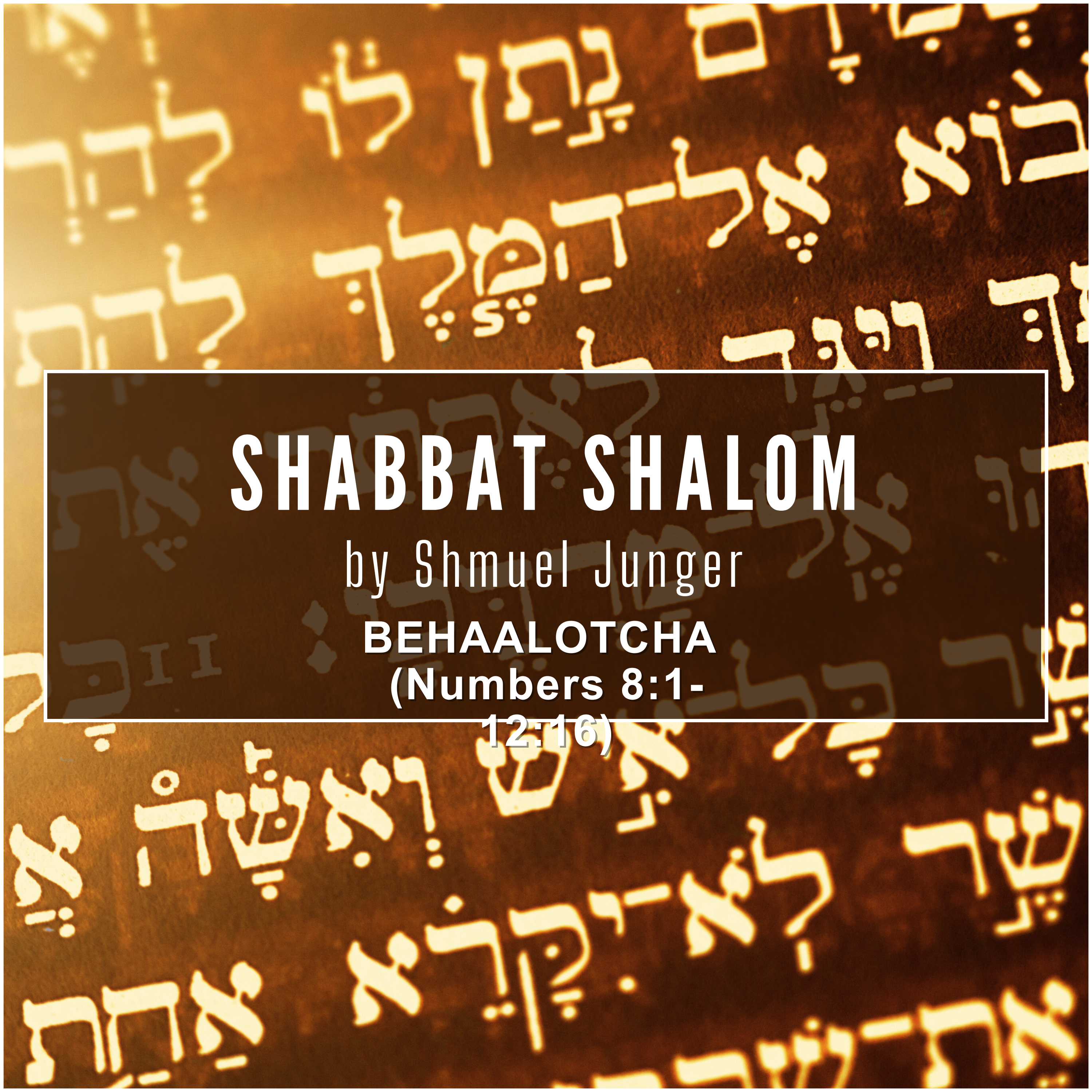 Shabbat Shalom from Shmuel!