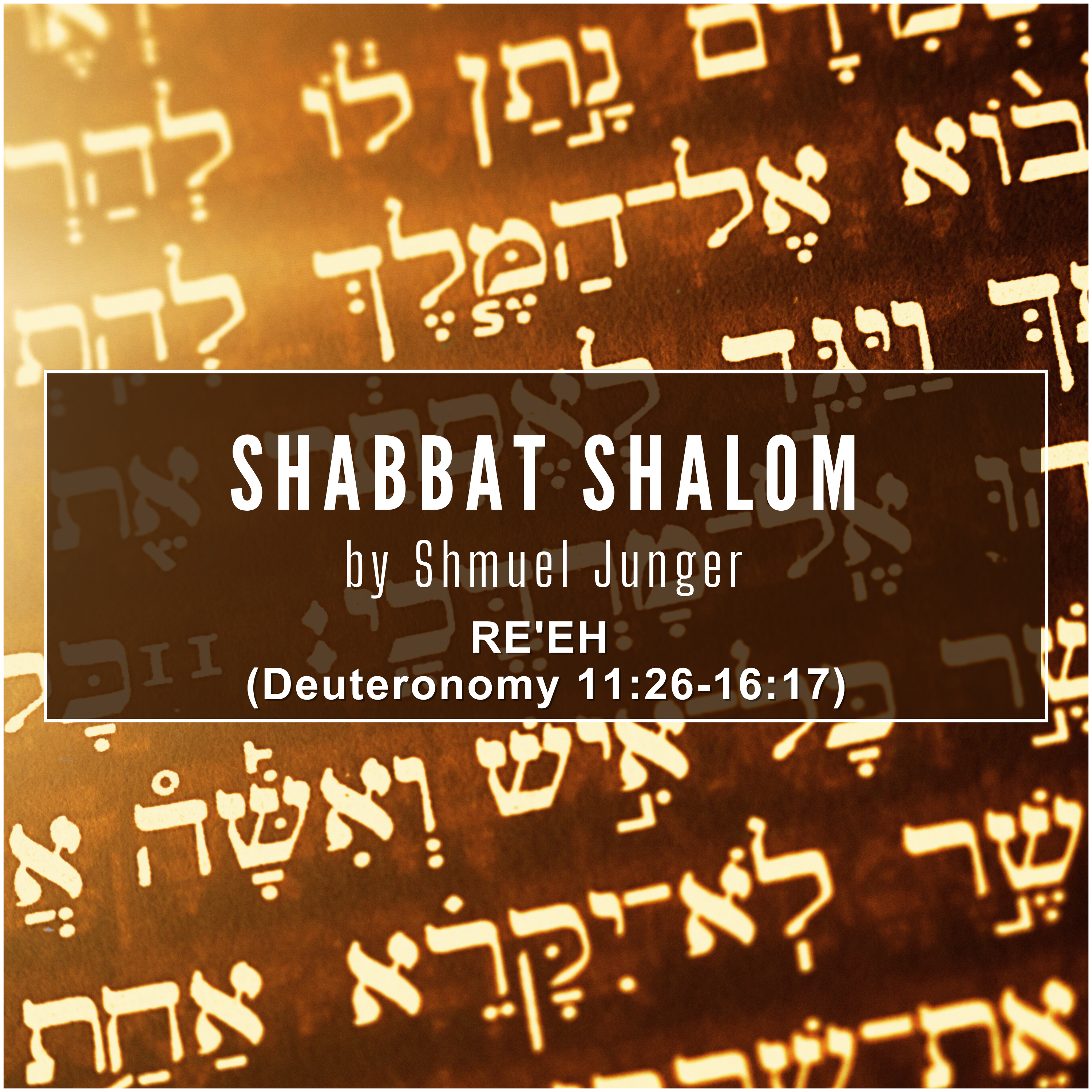 Shabbat Shalom from Shmuel!