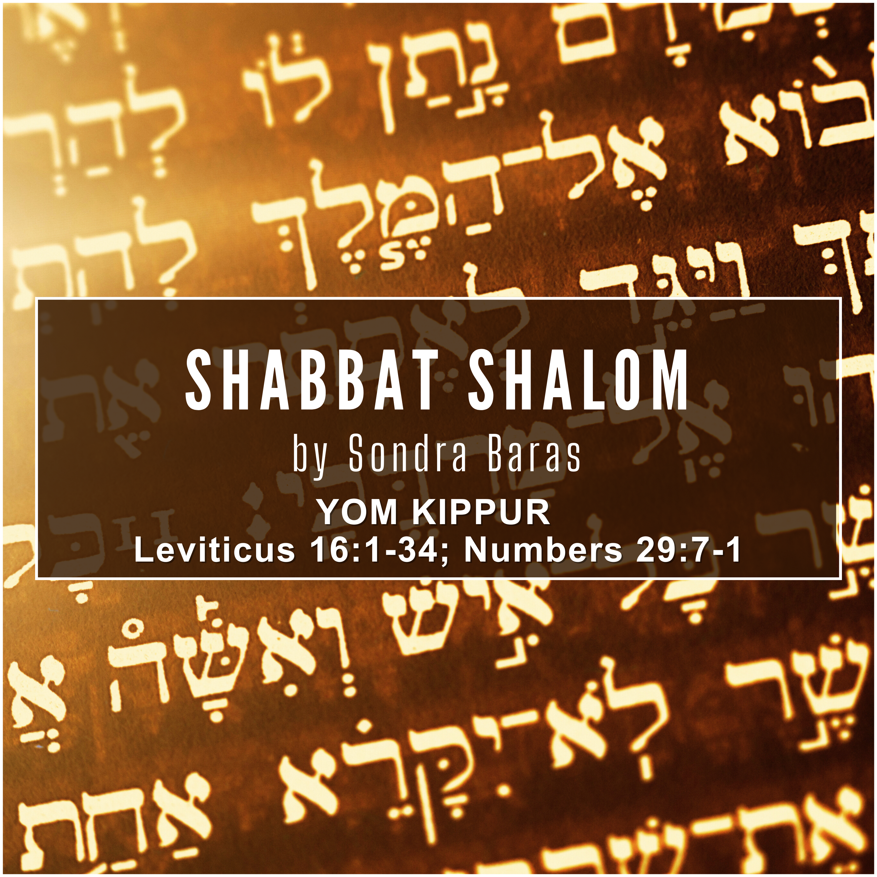 Shabbat Shalom from Shmuel!