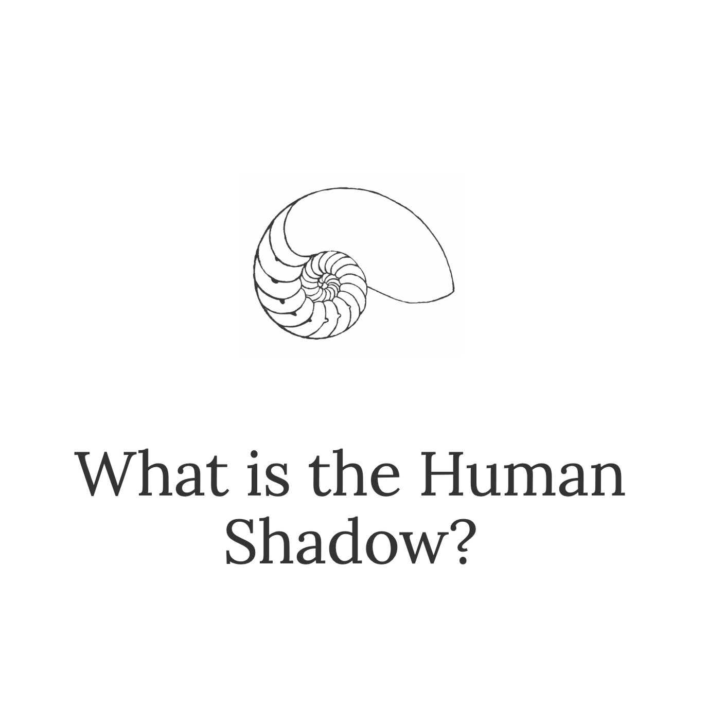 What Is The Human Shadow?