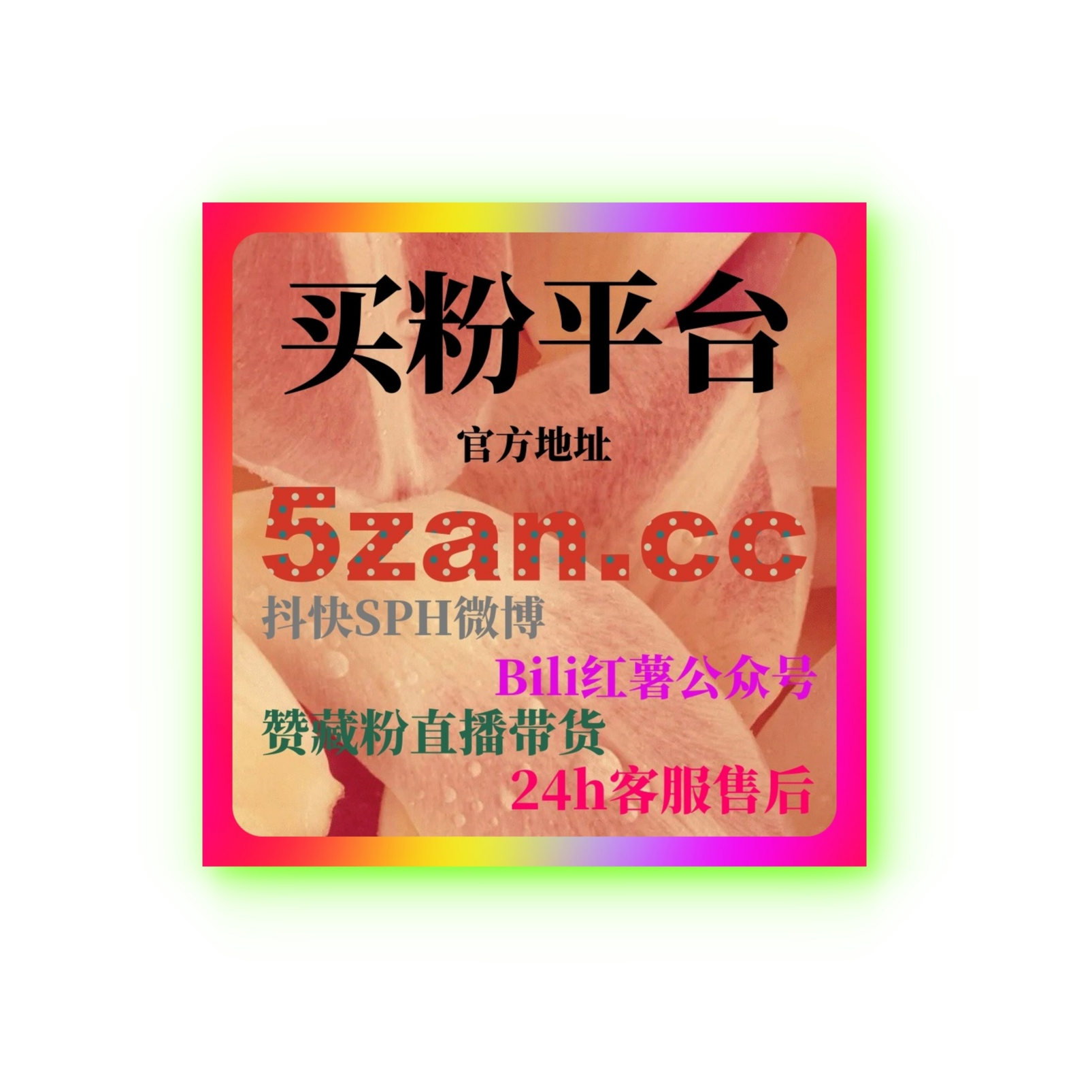 今日头条投流价格：如何根据预算选择合适的投流方案并提高粉丝增长？