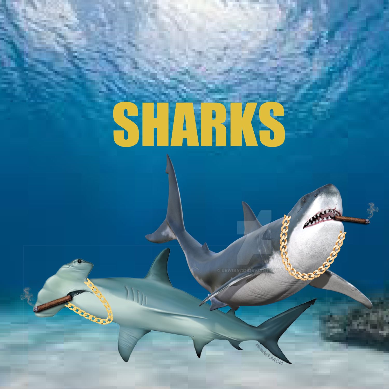 SHARKS — S1E3 “Great Whites”