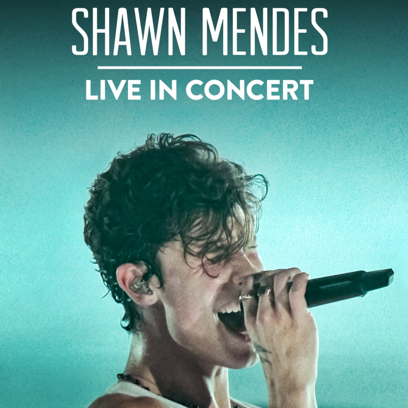 Shawn Mendes Live In Concert