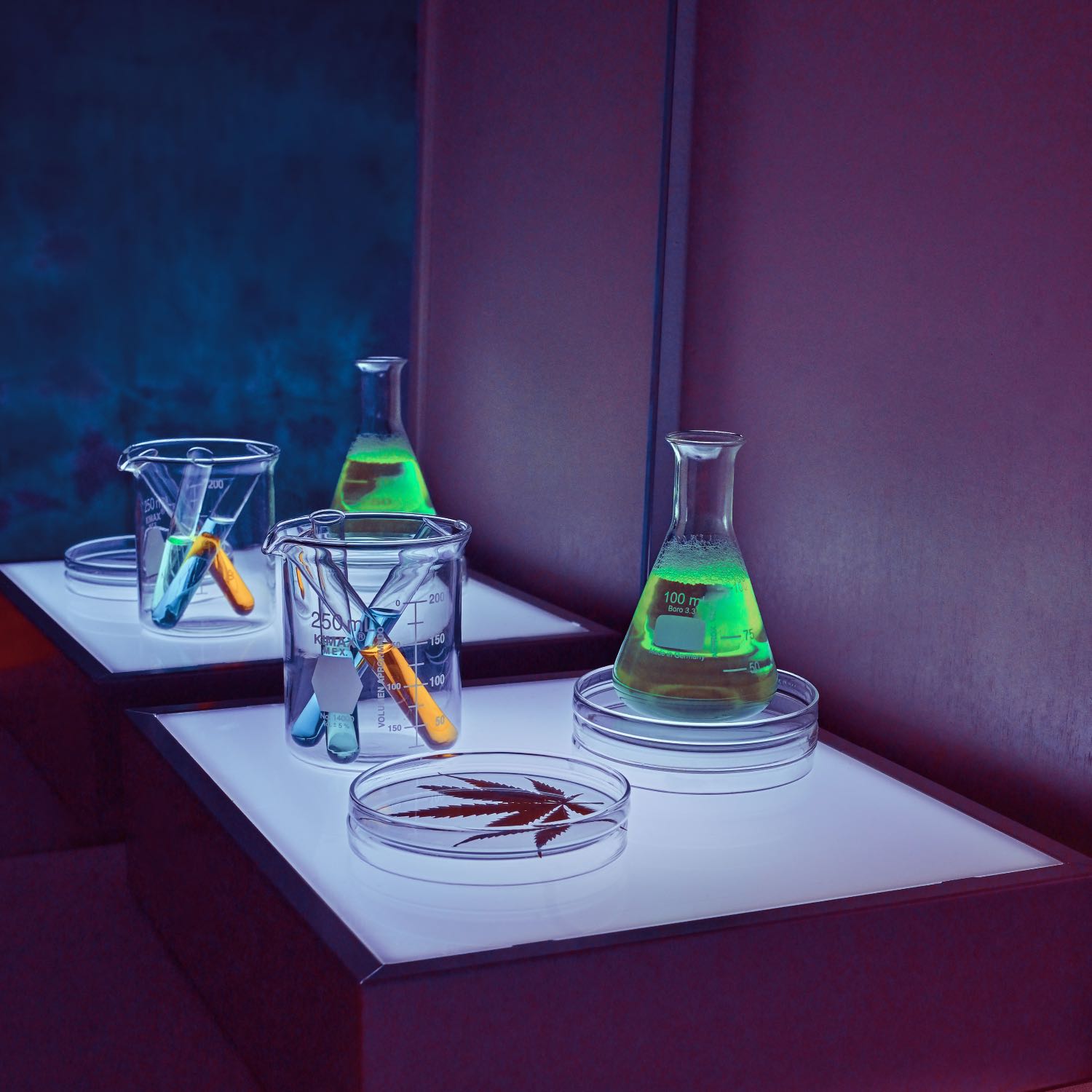 Friday\'s Digest - The Podcast for Doctors & Scientists
