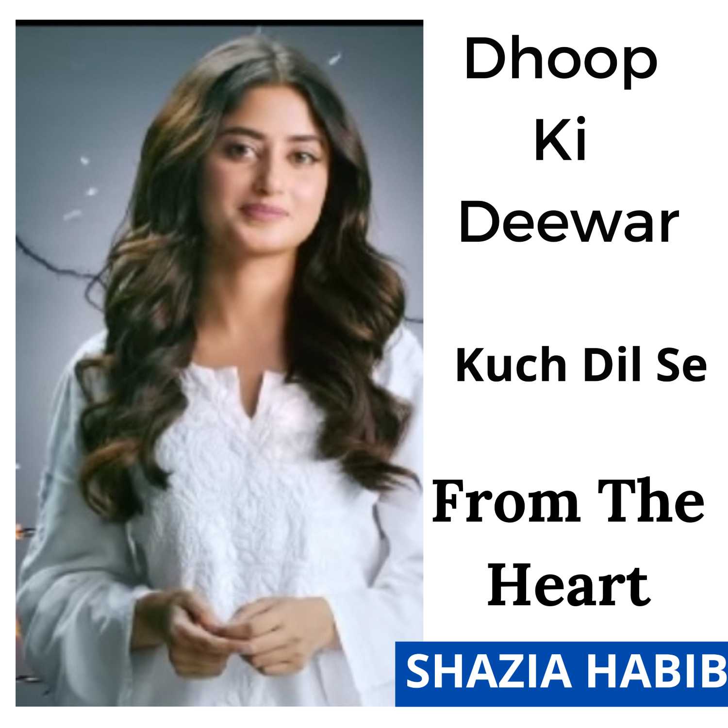 From The Heart Kuch Dil Se by Shazia Habib