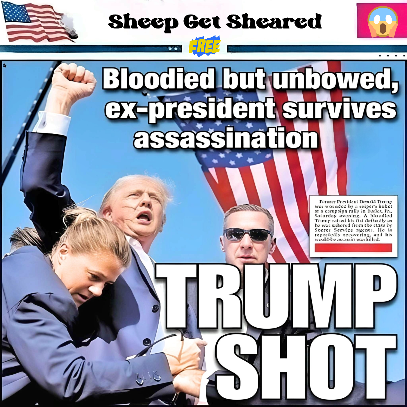 Sheep Get Sheared