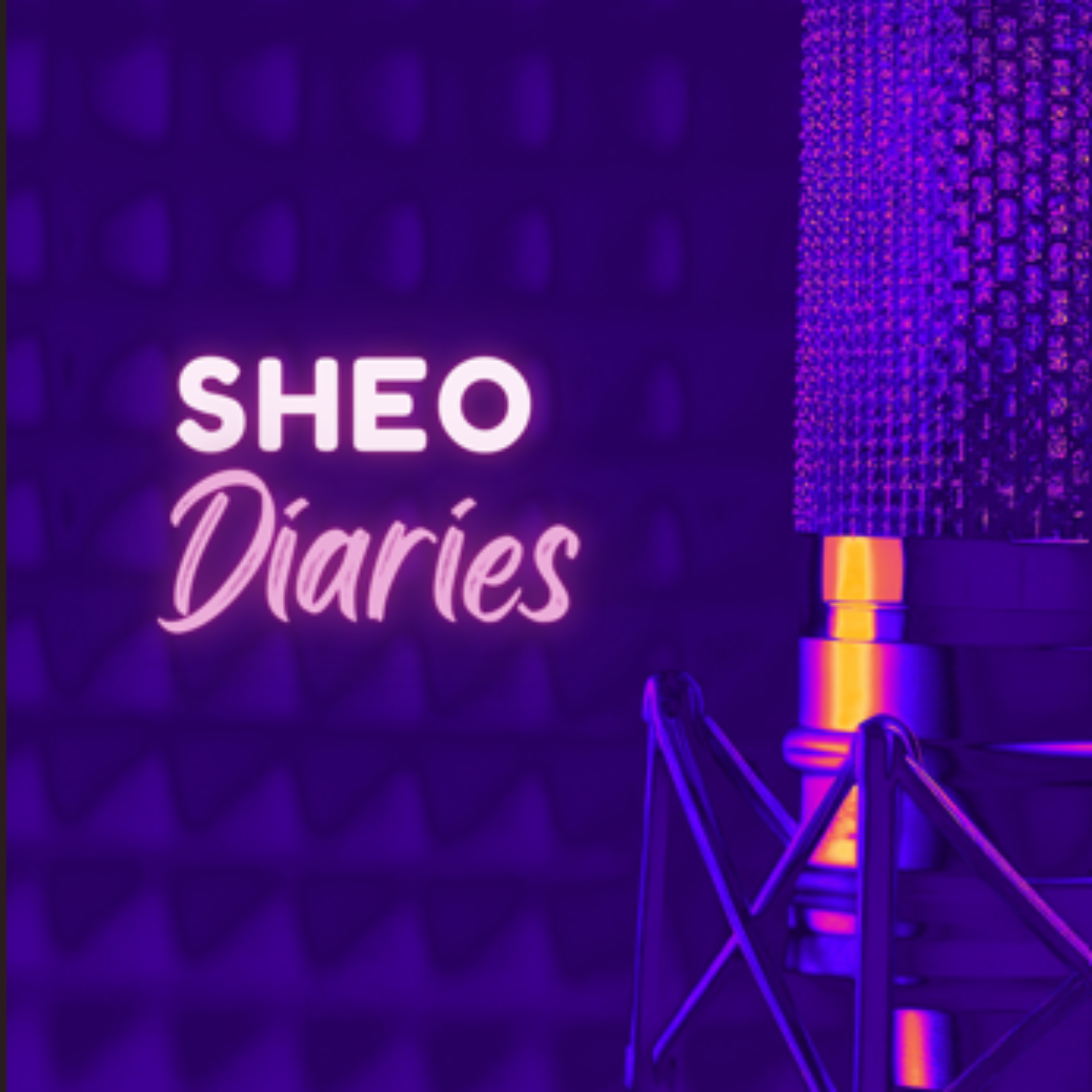 SHEO Diaries
