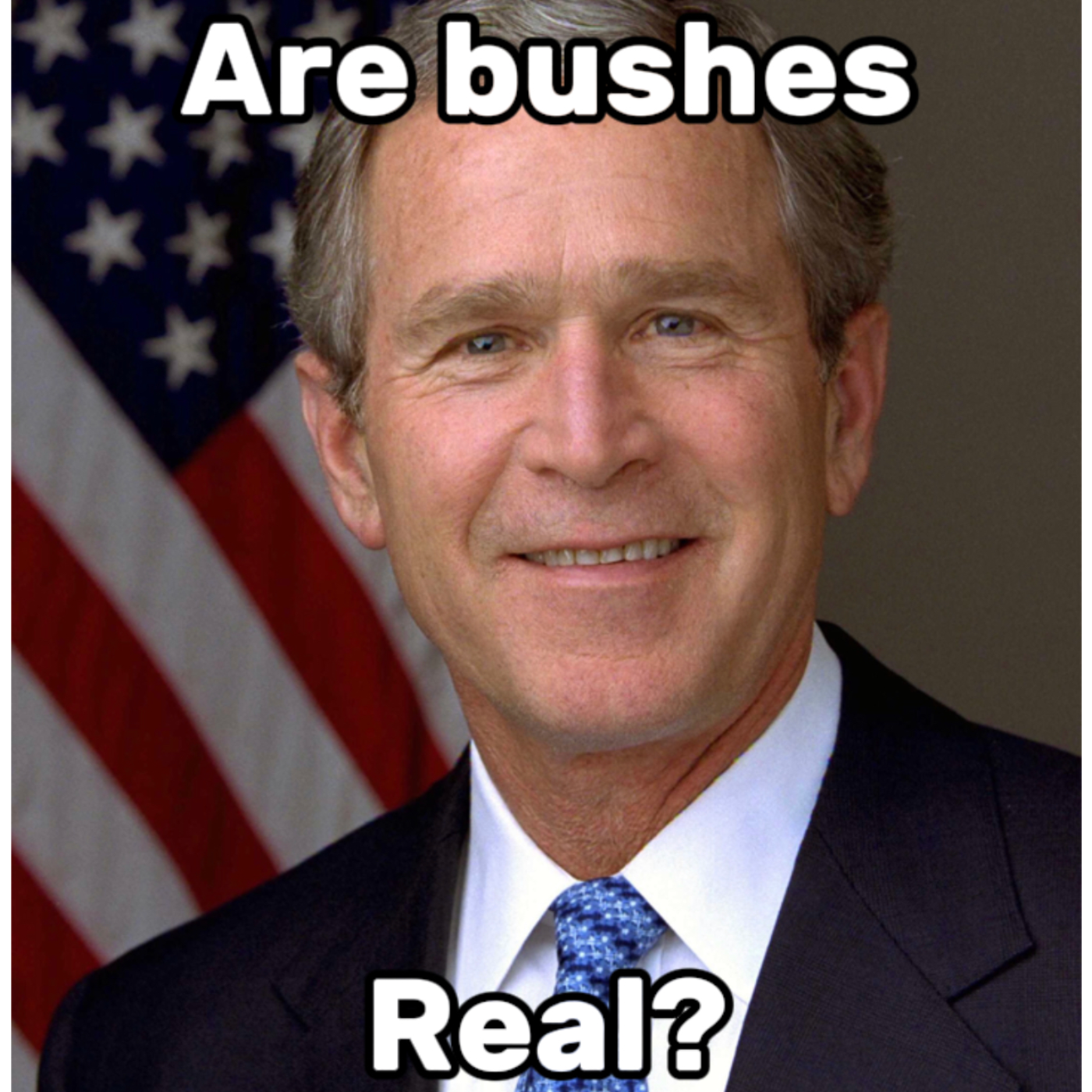 Are bushes real? (Part 1) episode artwork