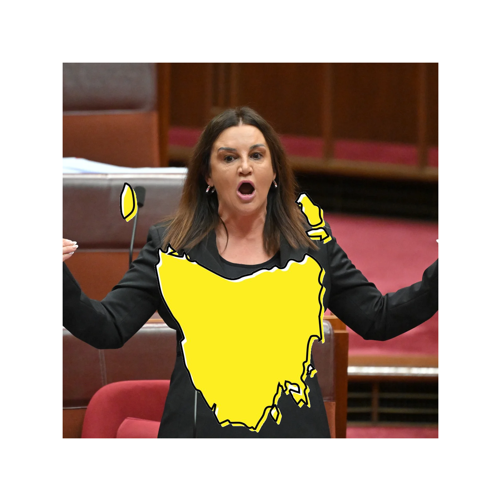 Jacqui Lambie: The Senate, Lambie Style (part 3)