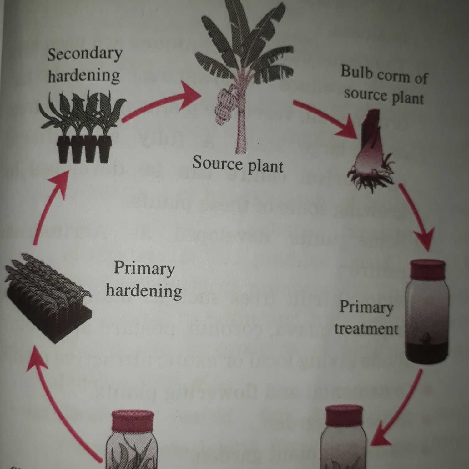 Biotechnology