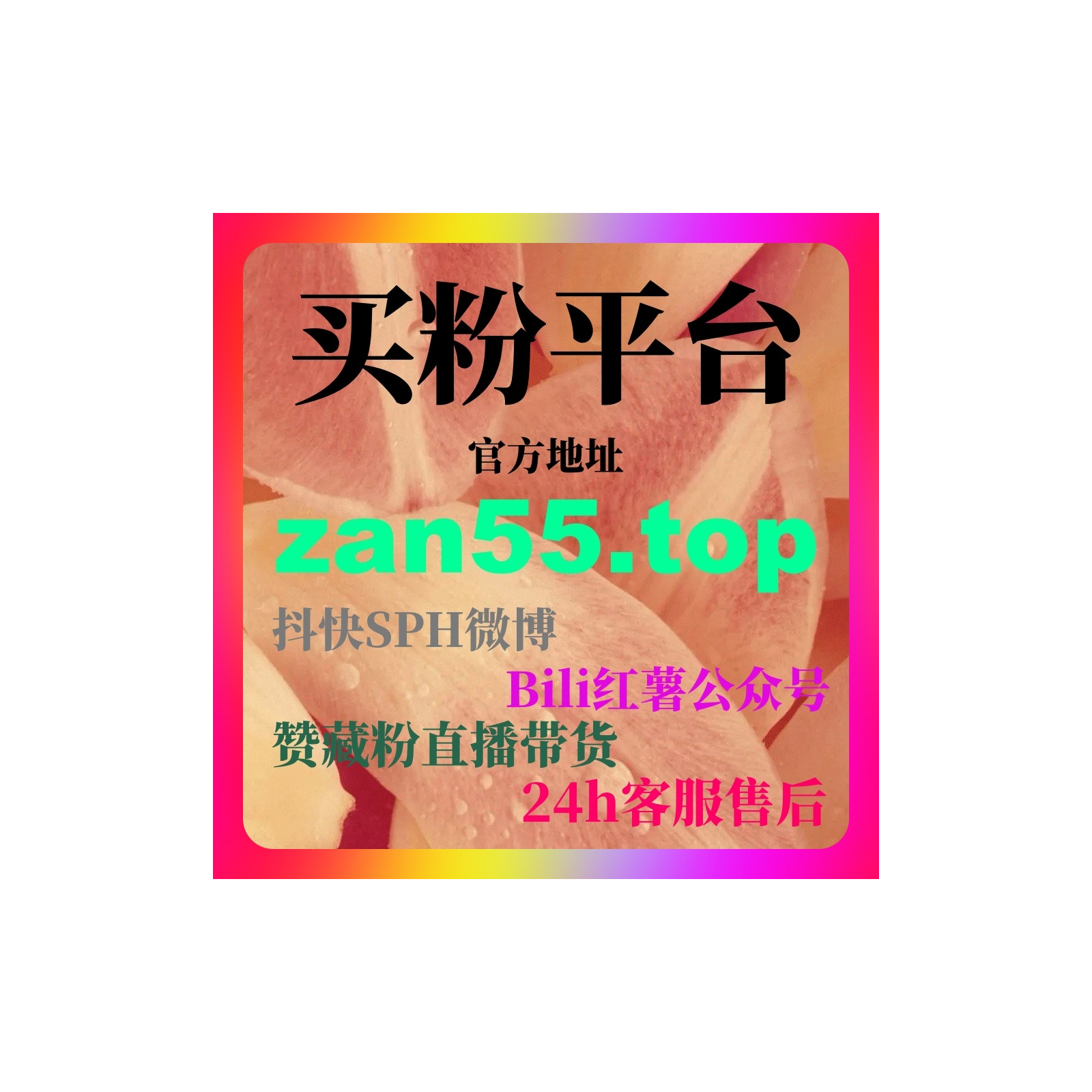 刷赞软件推荐，B站刷粉自助下单操作指南，UP主轻松快速快速活跃账号 episode artwork