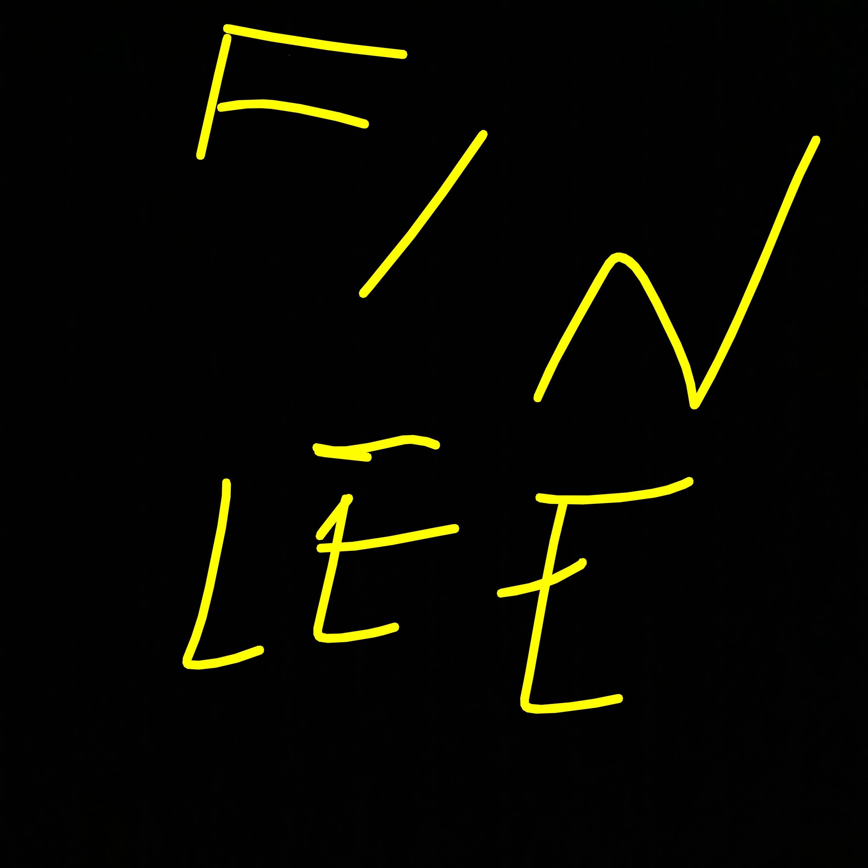 Fin speaks