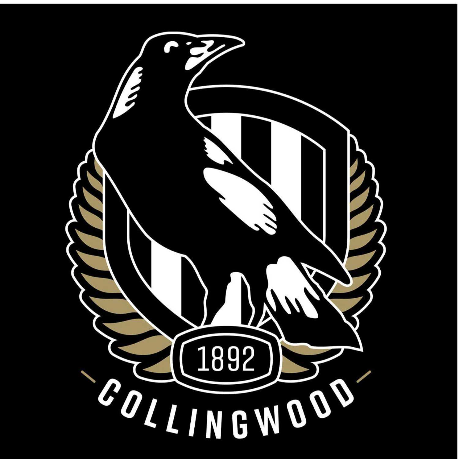 Reviewing the trade period, draft and pre-season game between Collingwood and Geelong. 