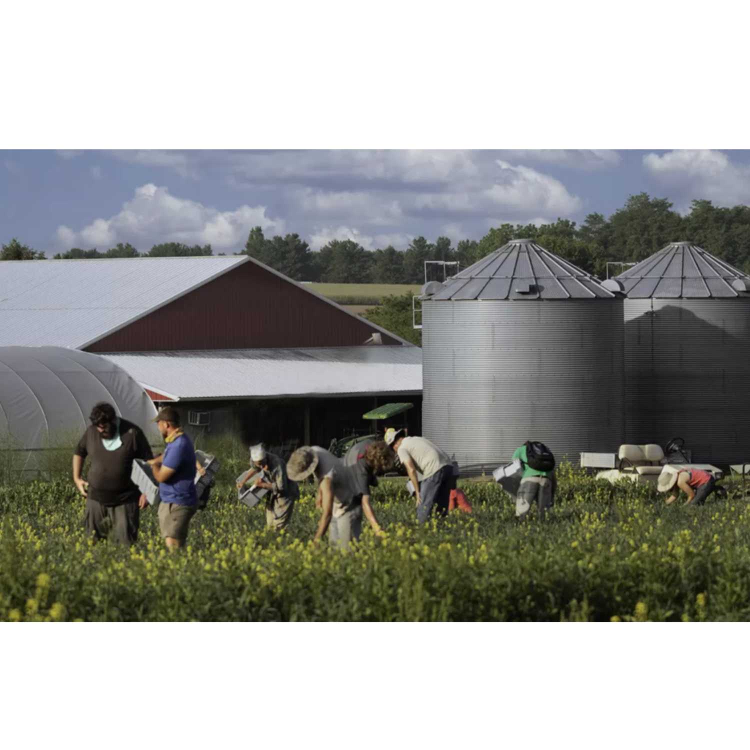 The Future of Agriculture