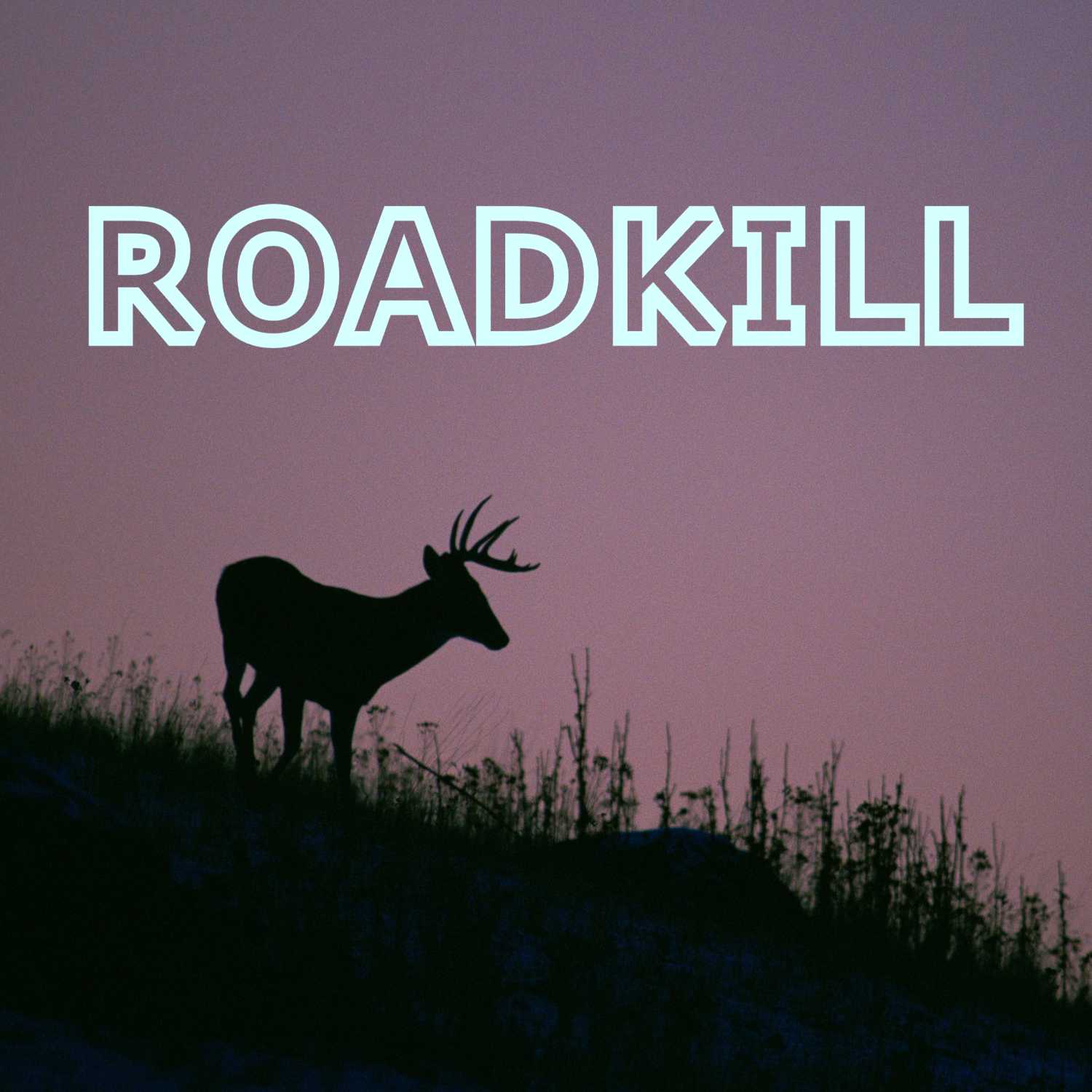 Roadkill