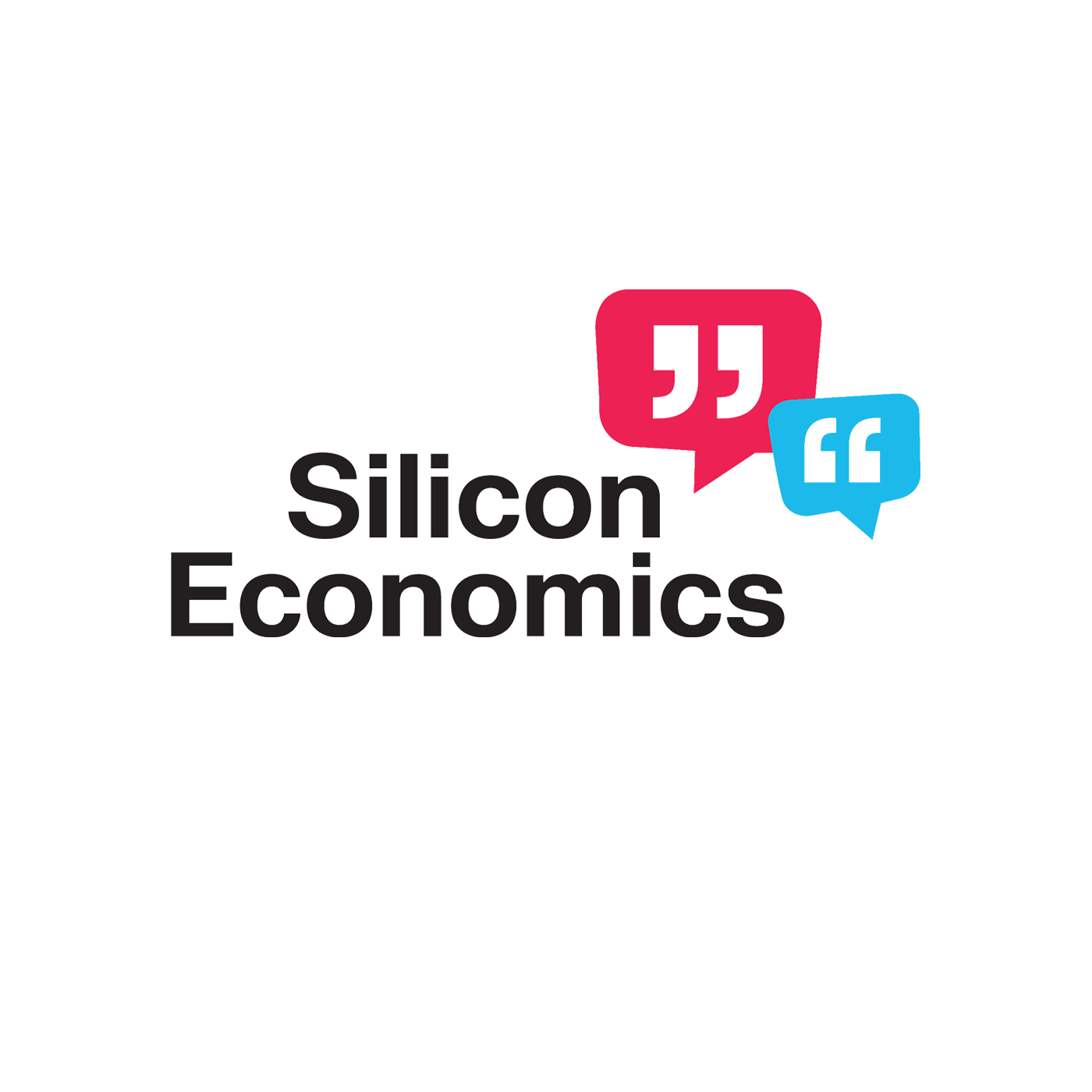 What is Silicon Economics all about?