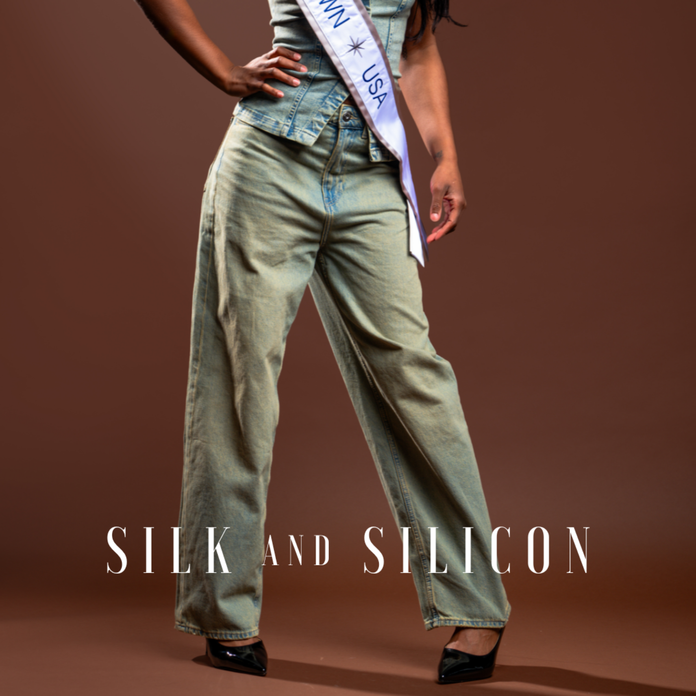 Silk and Silicon