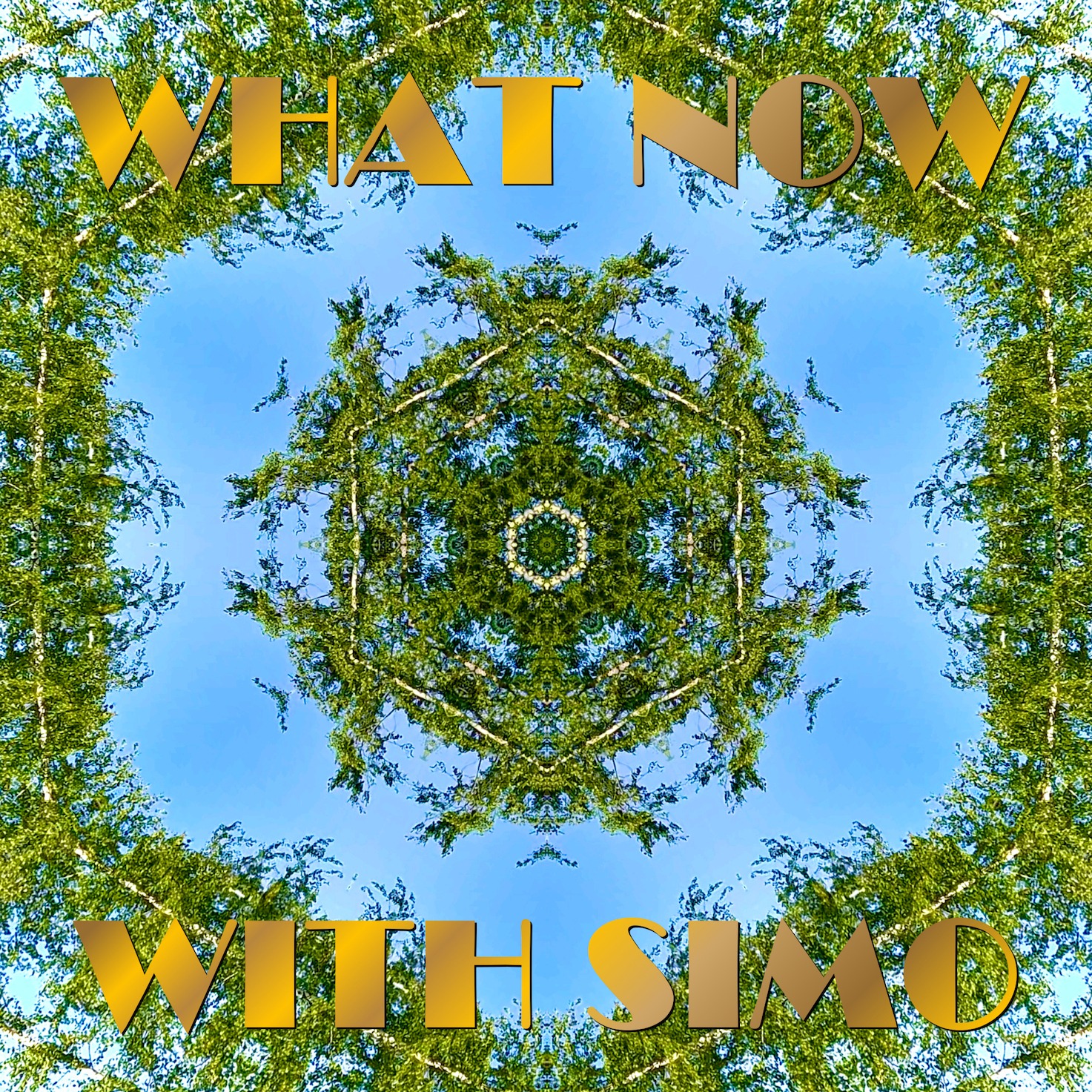 What Now with Simo