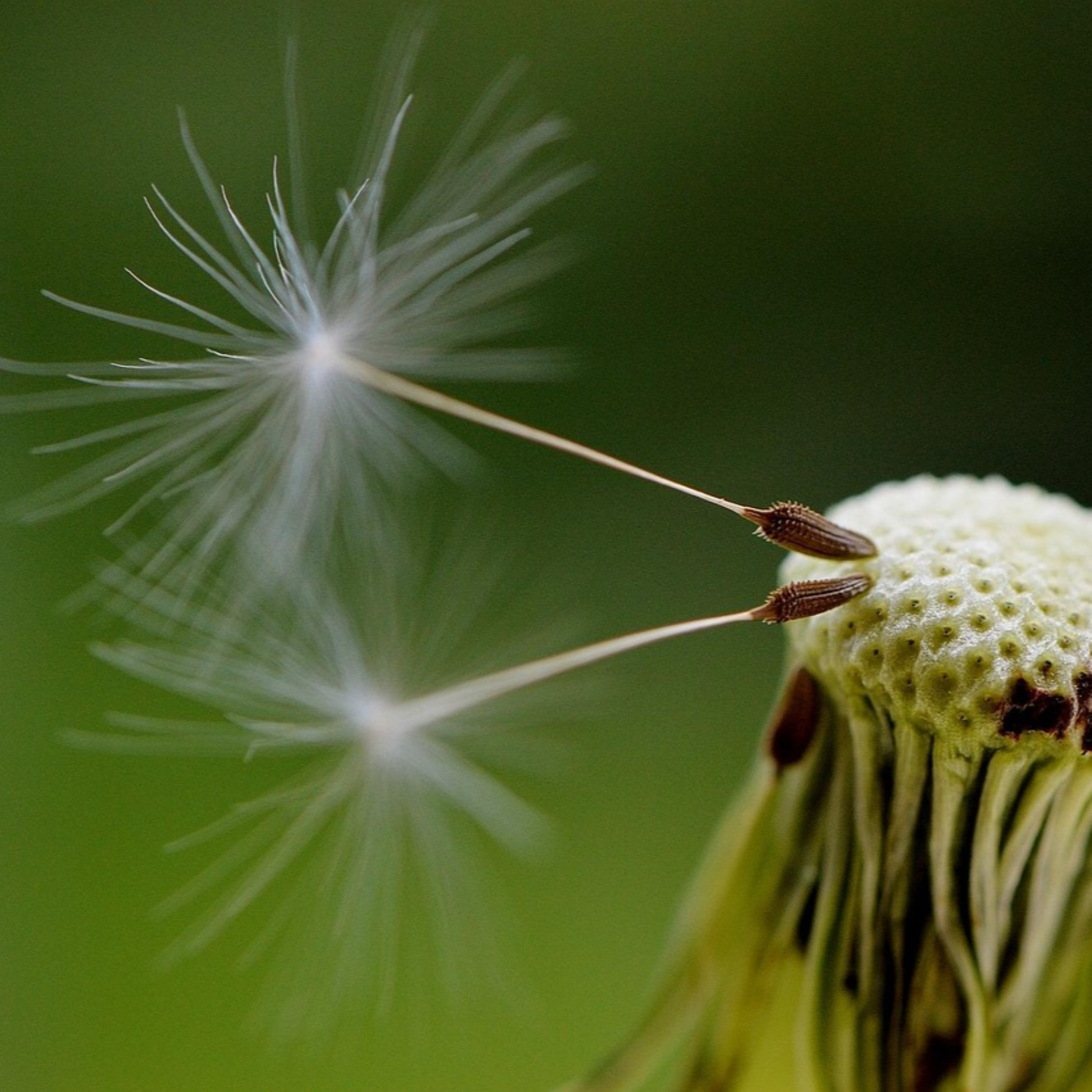 Kommunikation ist mehr als reden! Zeitgeist im Wandel.