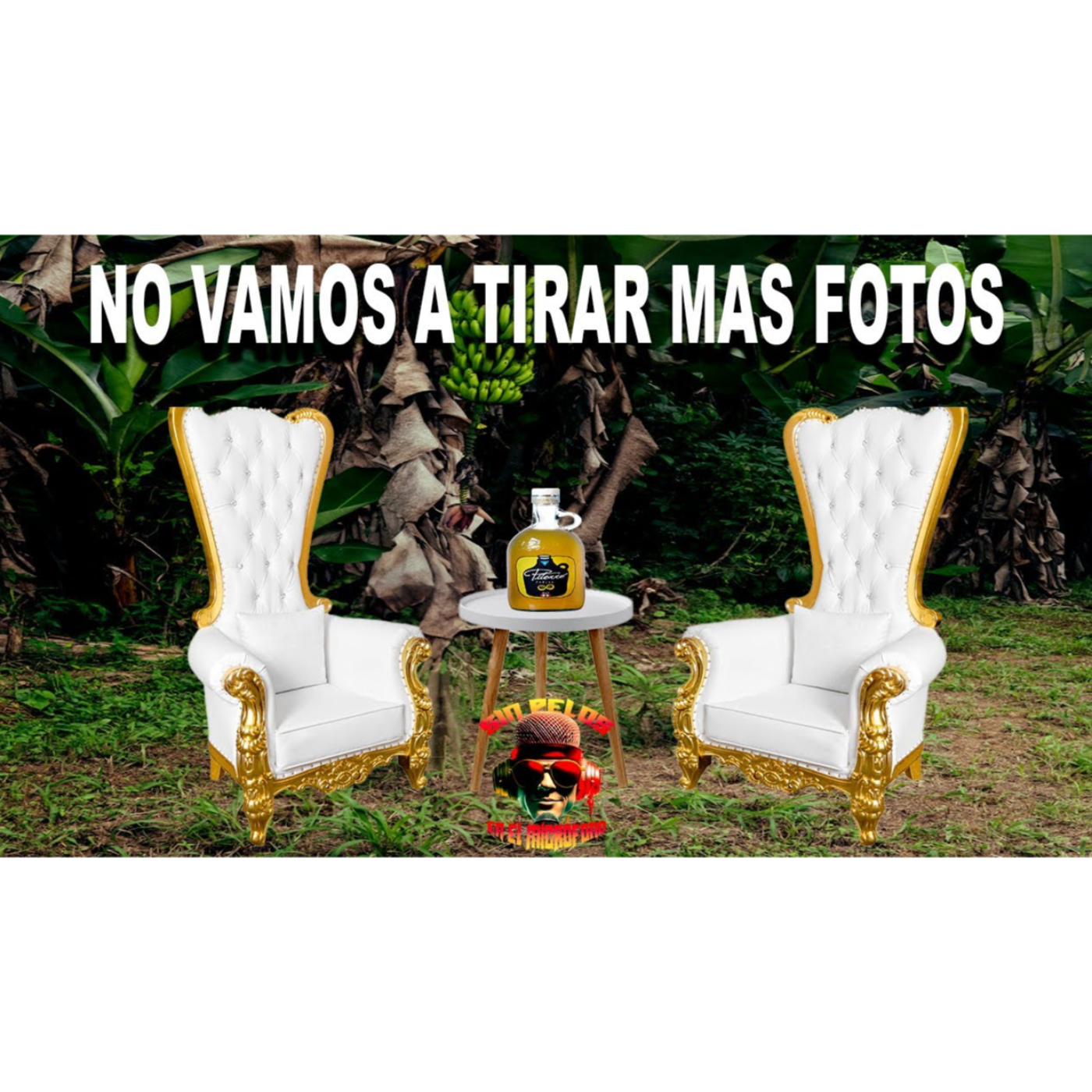 Sin Pelos En El Micrófono