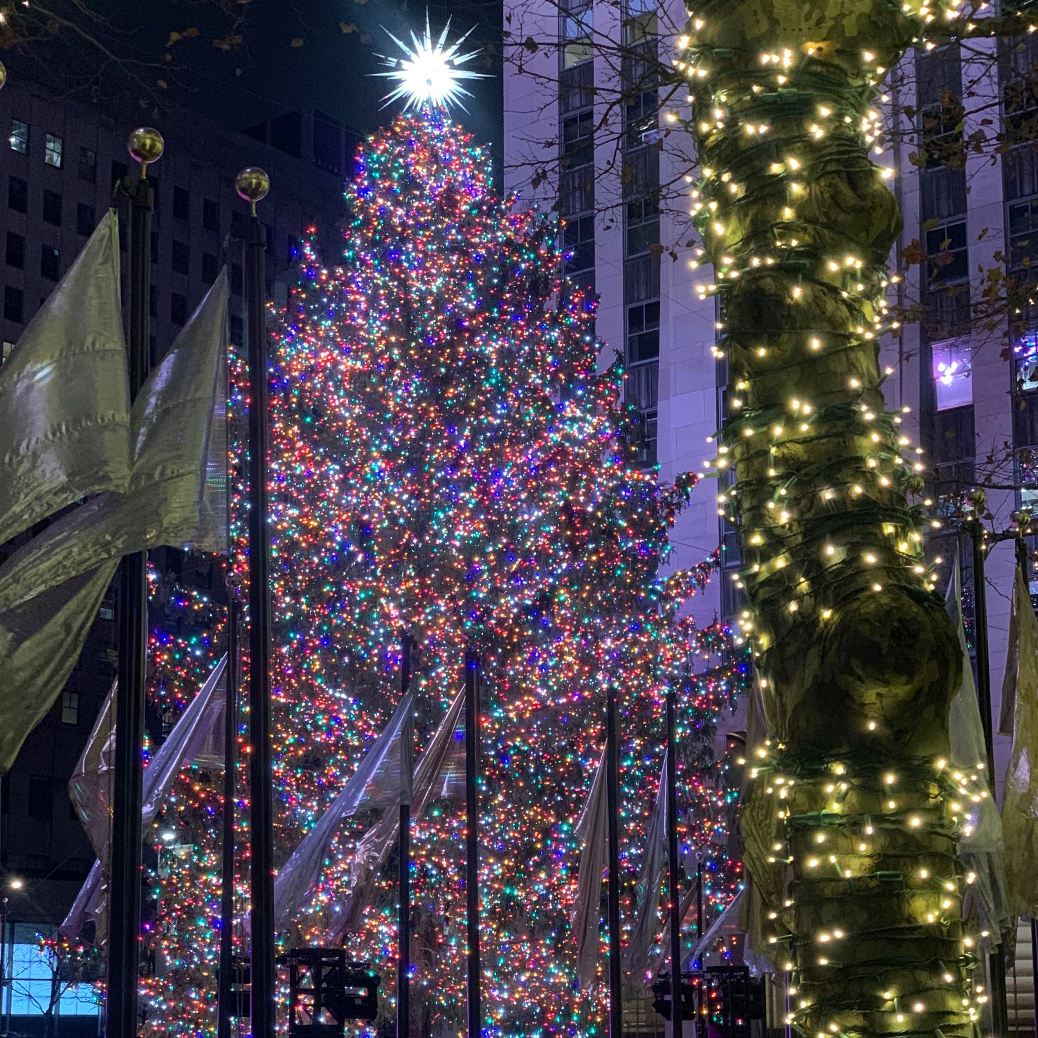 The Rockefeller tree 🎄