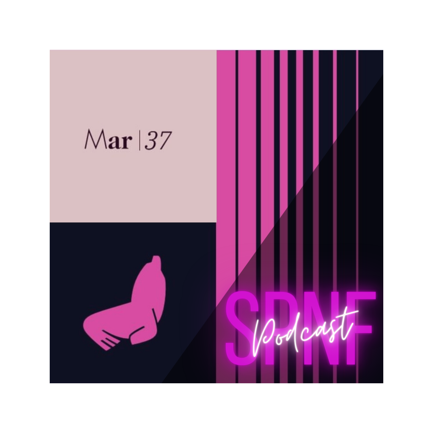 SPNF - Festival internacional de Mar del Plata 2022 - Vol.7 episode artwork