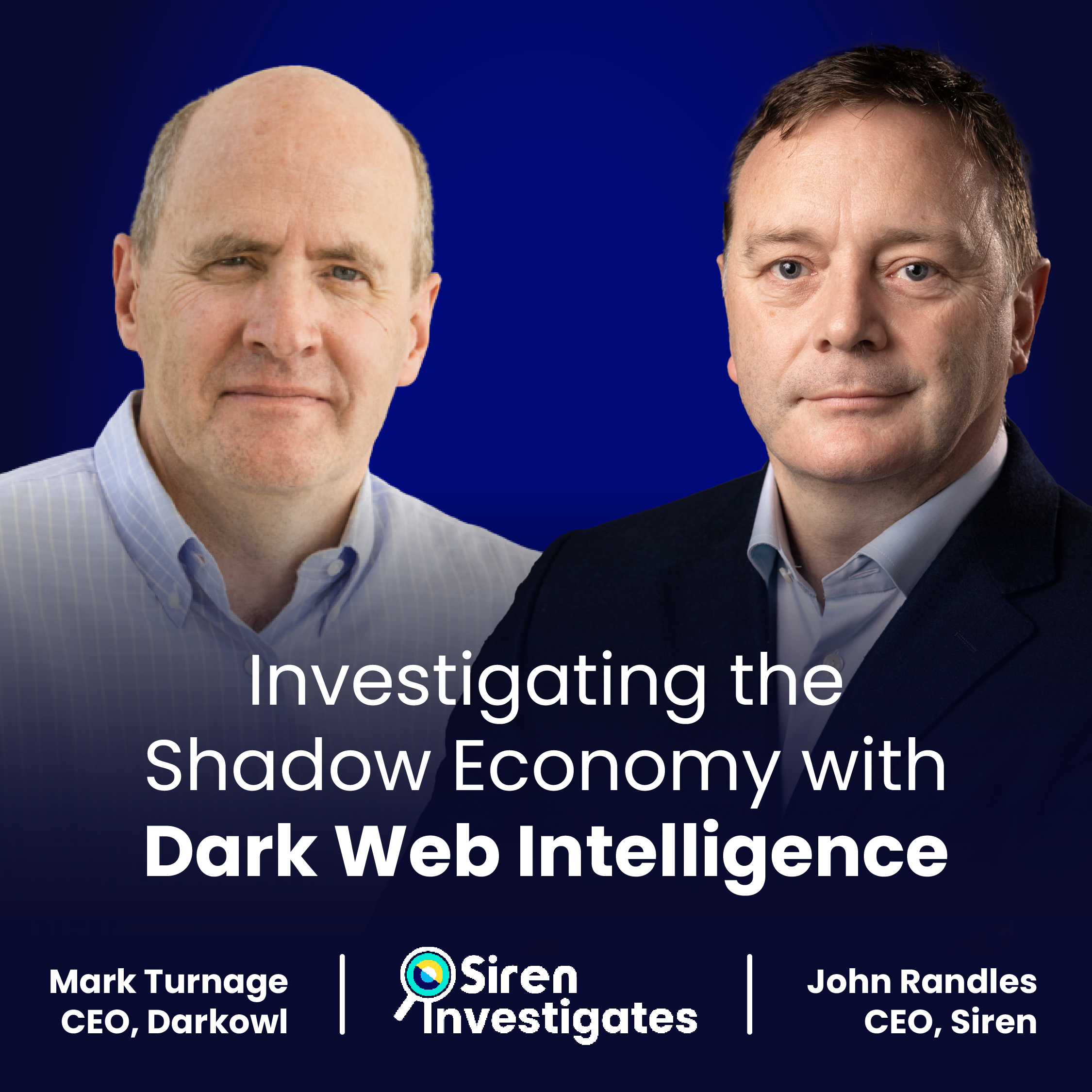 Investigating the Shadow Economy with Dark Web Intelligence