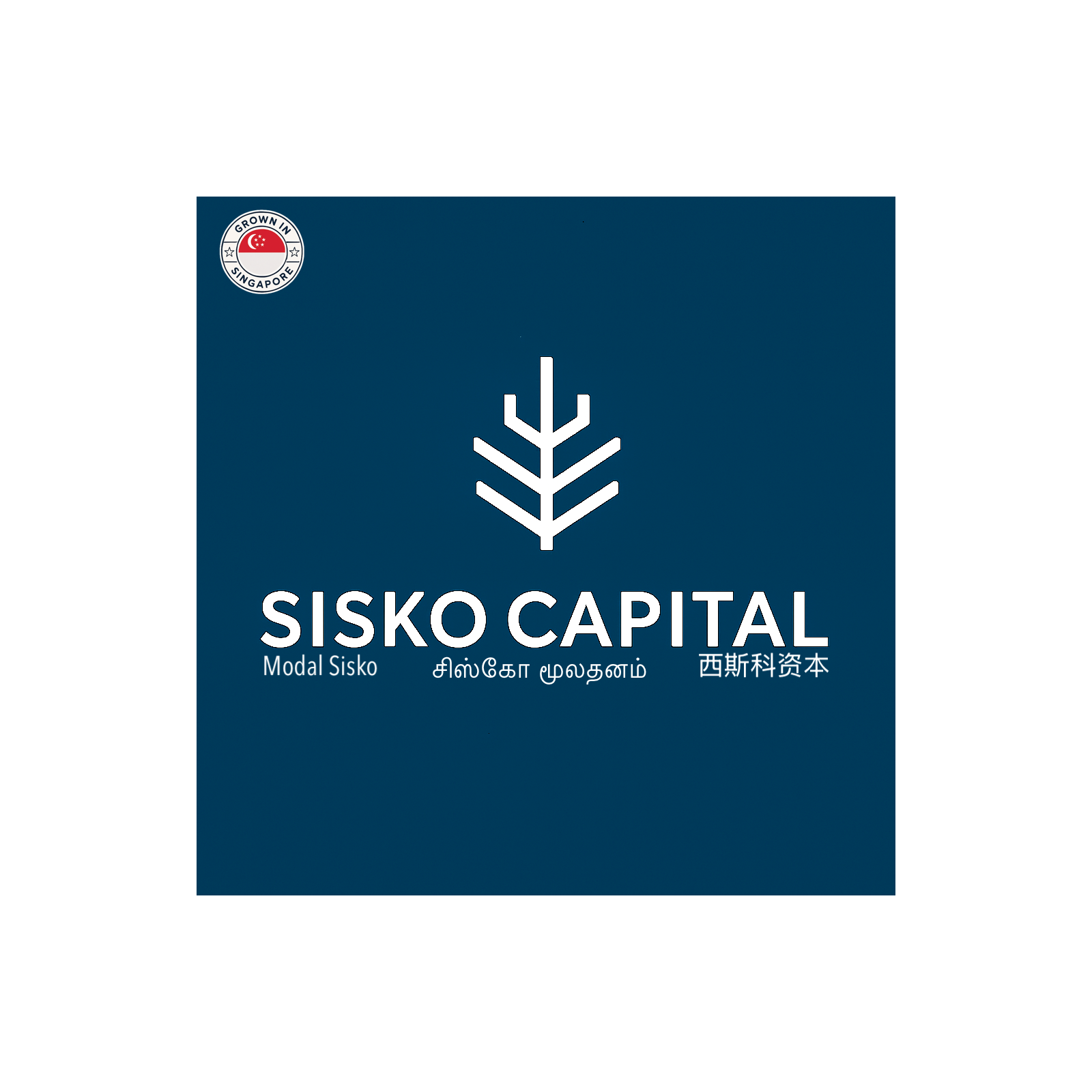 Sisko Insights by Sisko Capital LLP Singapore.