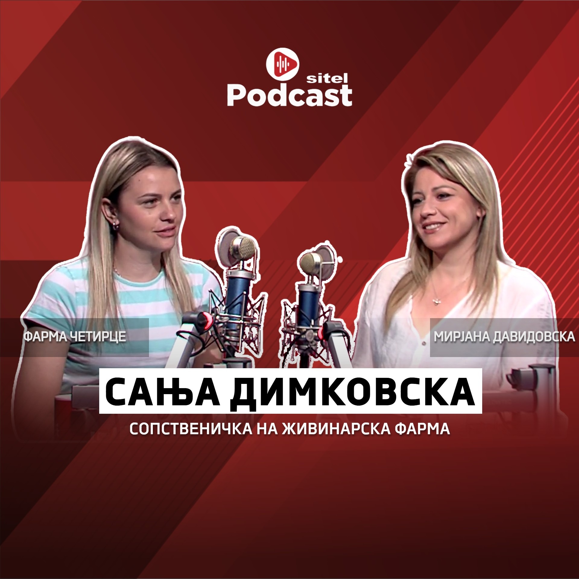 Не се срамев од работа, успеав на село со свој бизнис | Сања Димковска | Sitel Podcast 041 episode artwork