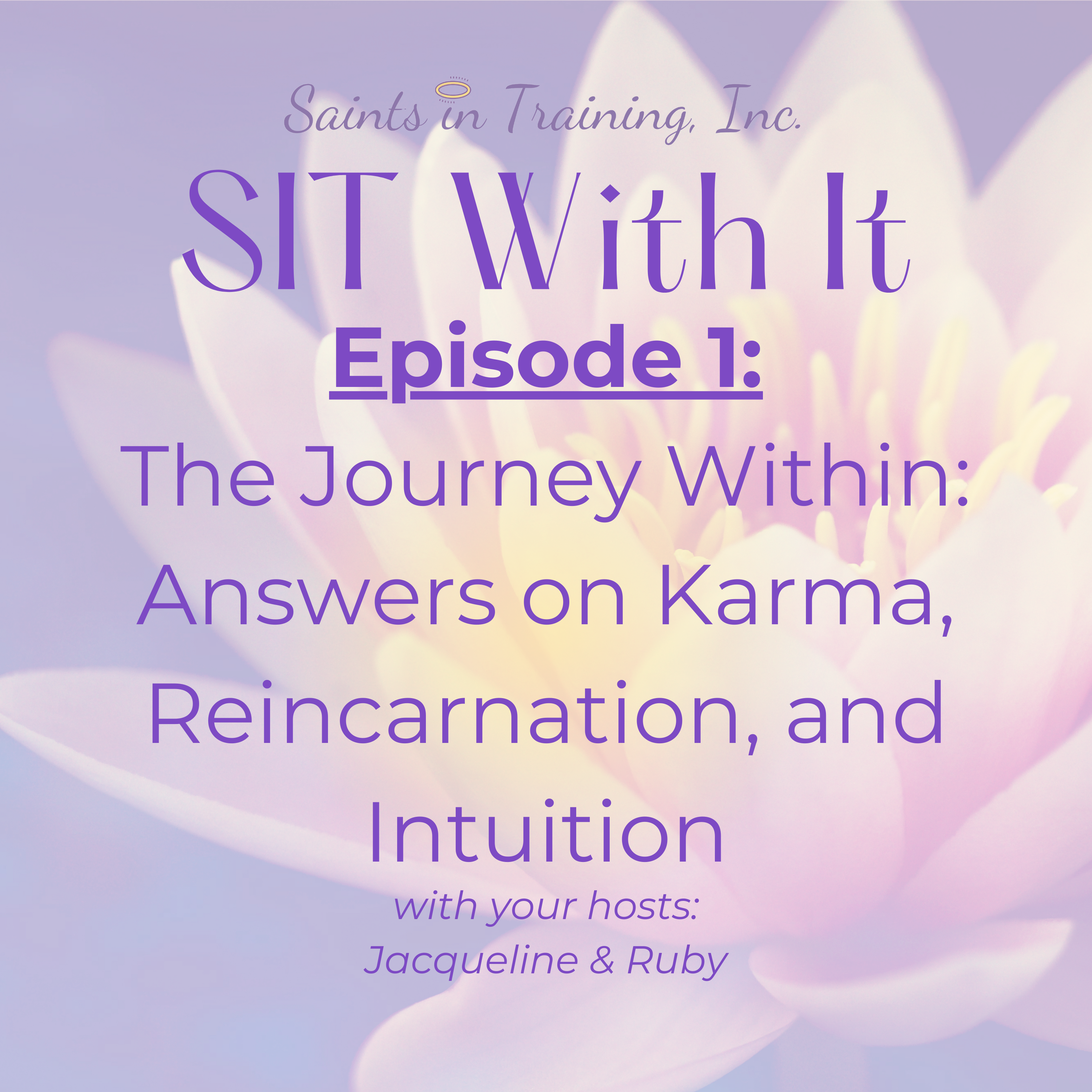 The Journey Within: Answers on Karma, Reincarnation, and Intuition episode artwork