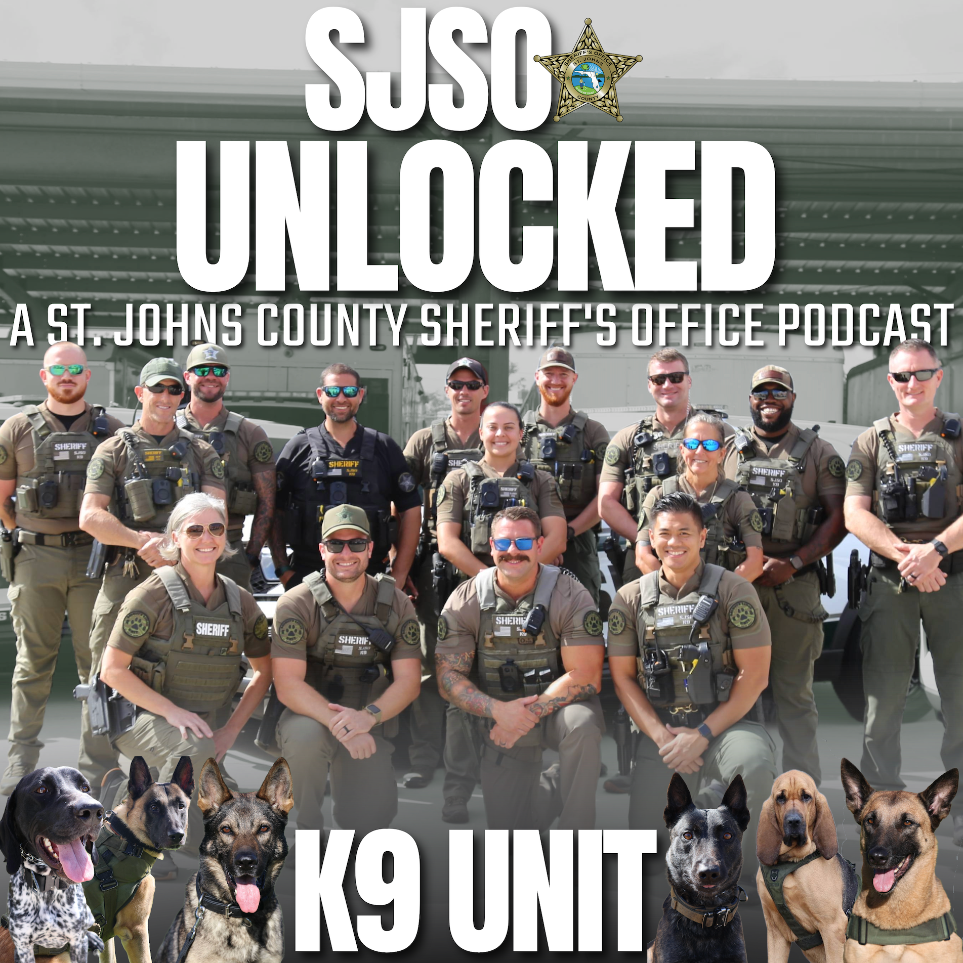 Ep. 3 SJSO Unlocked: All things K9 episode artwork