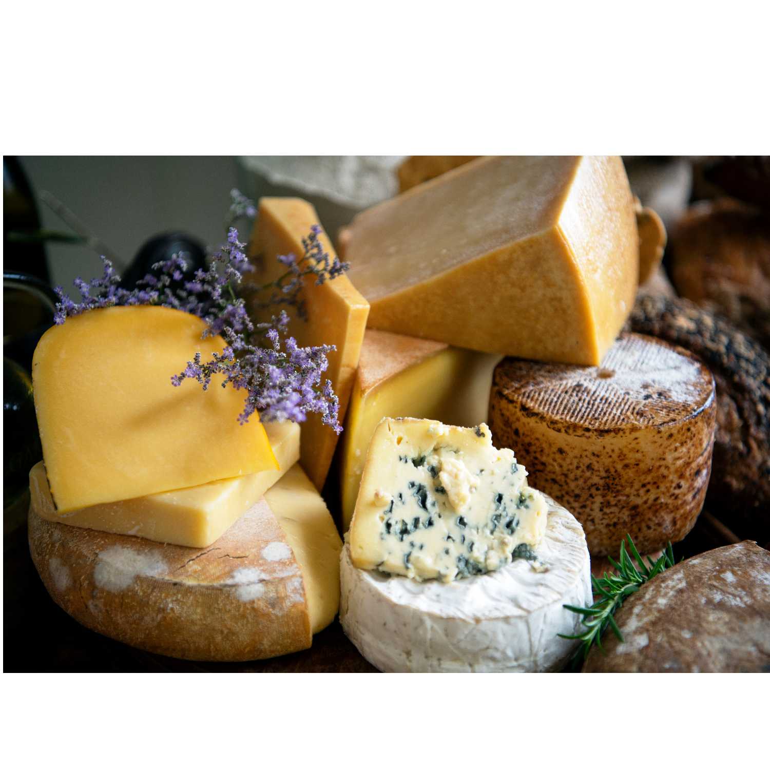cheese, sleep and chocolate