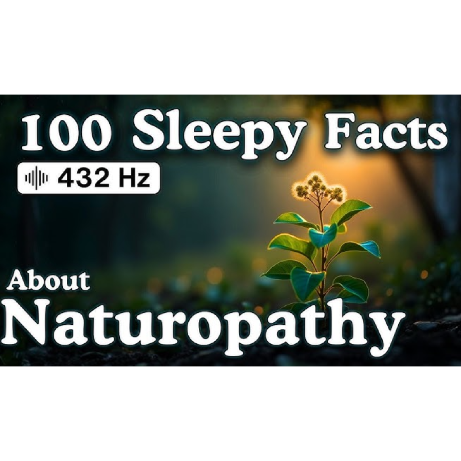The Most Relaxing Facts About Naturopathy to Fall Asleep To — No Adverts - Sleepy Science Channel