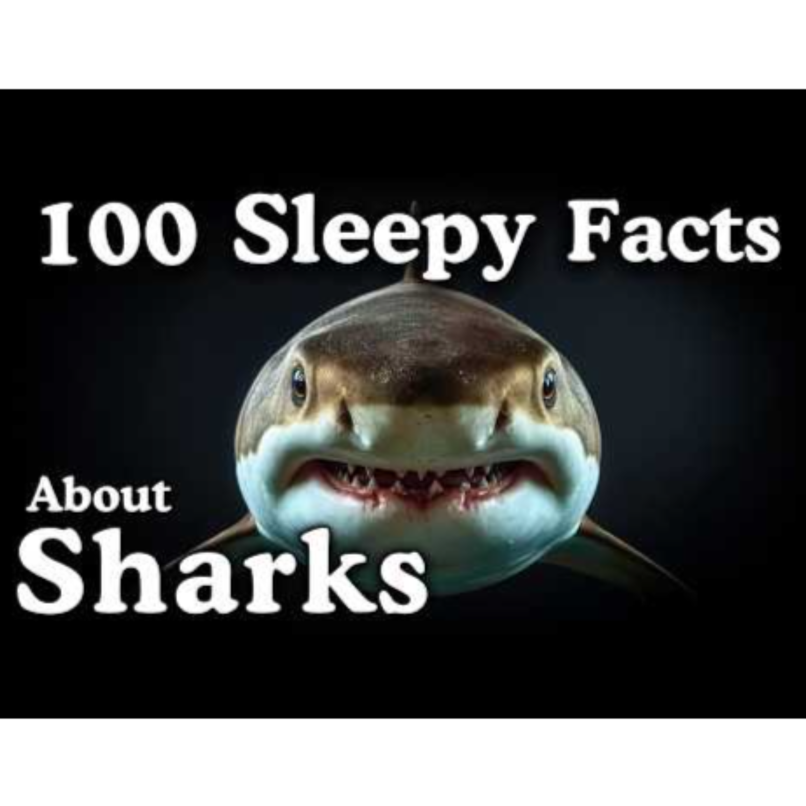 The Most Relaxing Facts About Sharks to Fall Asleep To — No Adverts - Sleepy Science Channel
