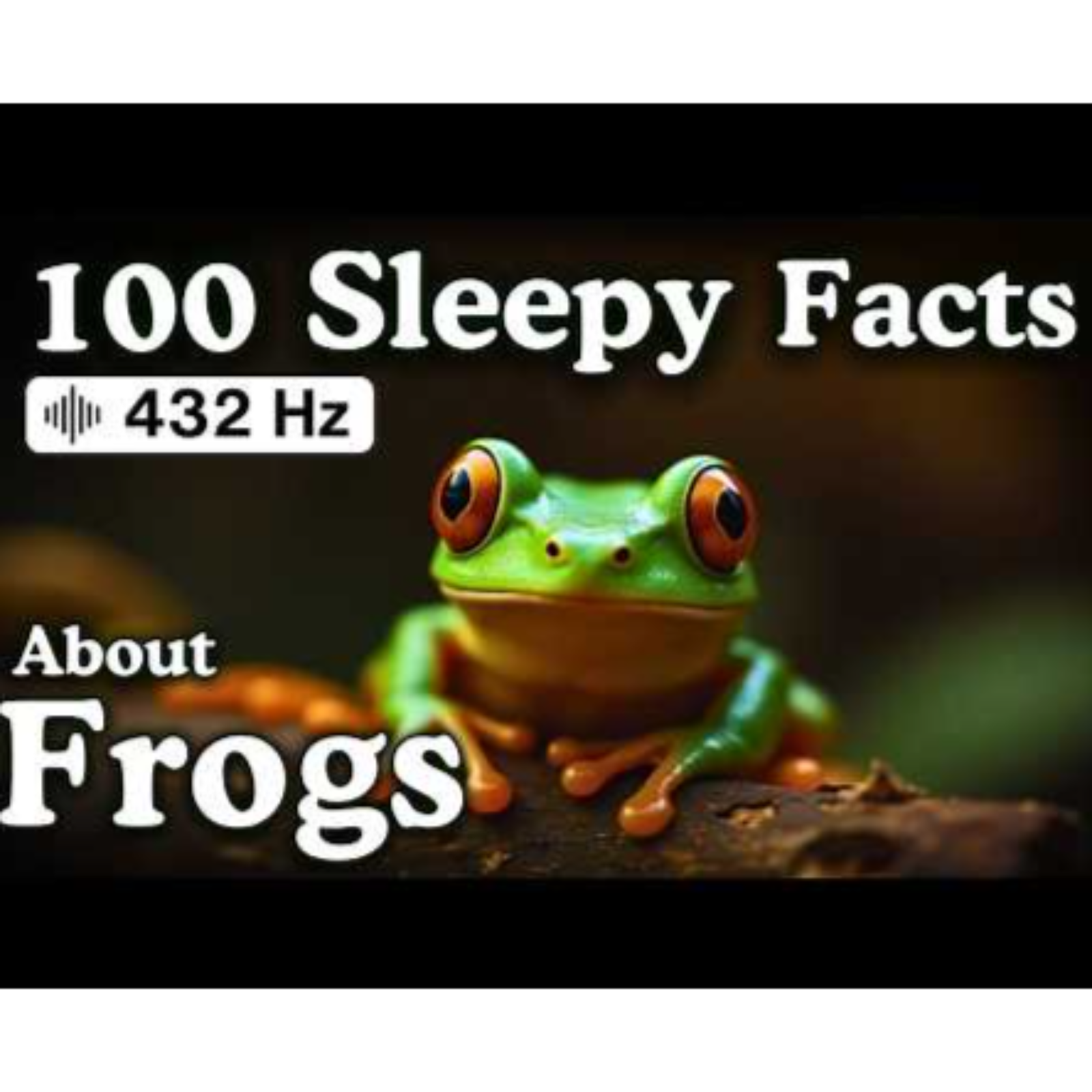 The Most Relaxing Facts About Frogs to Fall Asleep To — No Adverts - Sleepy Science Channel
