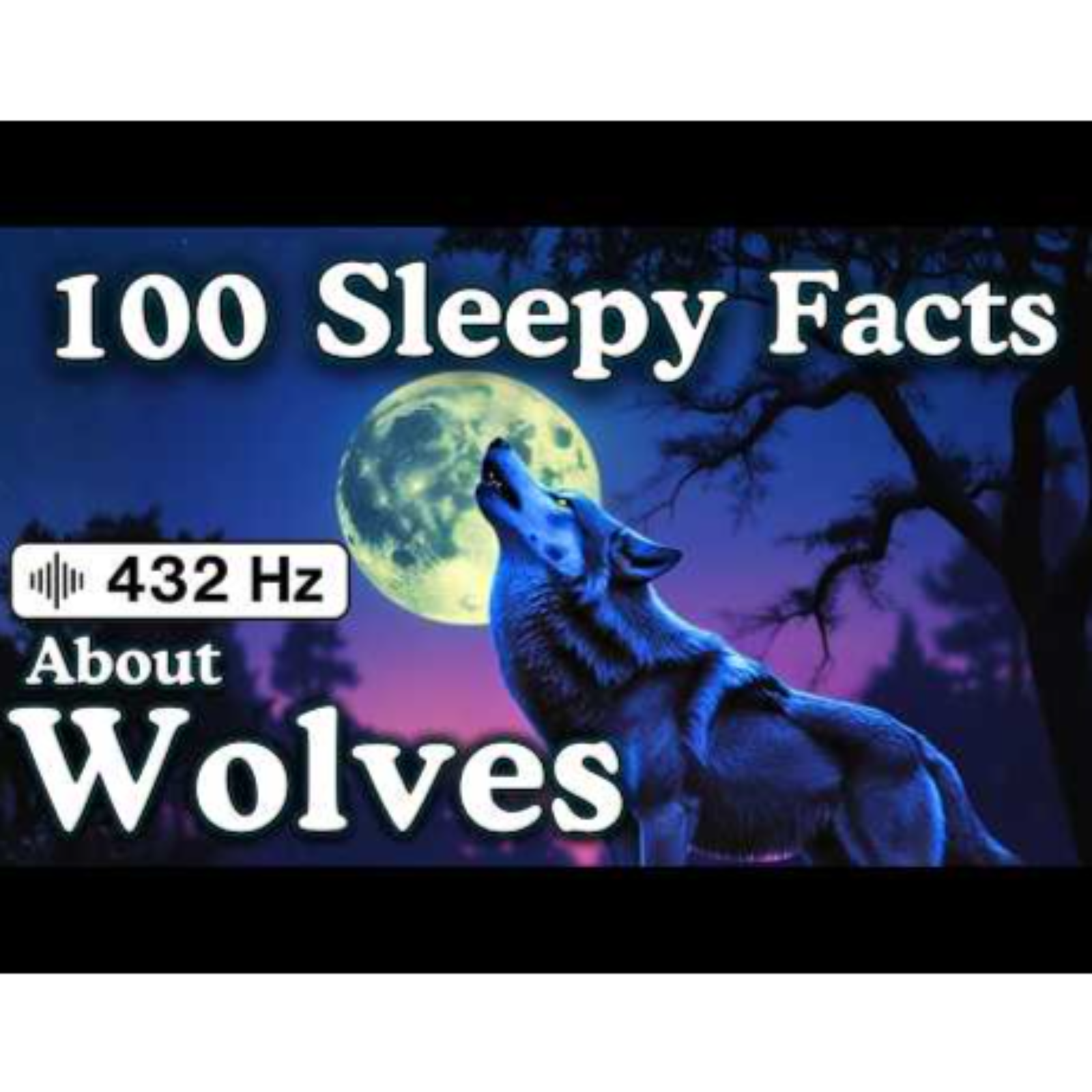 The Most Relaxing Facts About Wolves to Fall Asleep To — No Adverts - Sleepy Science Channel