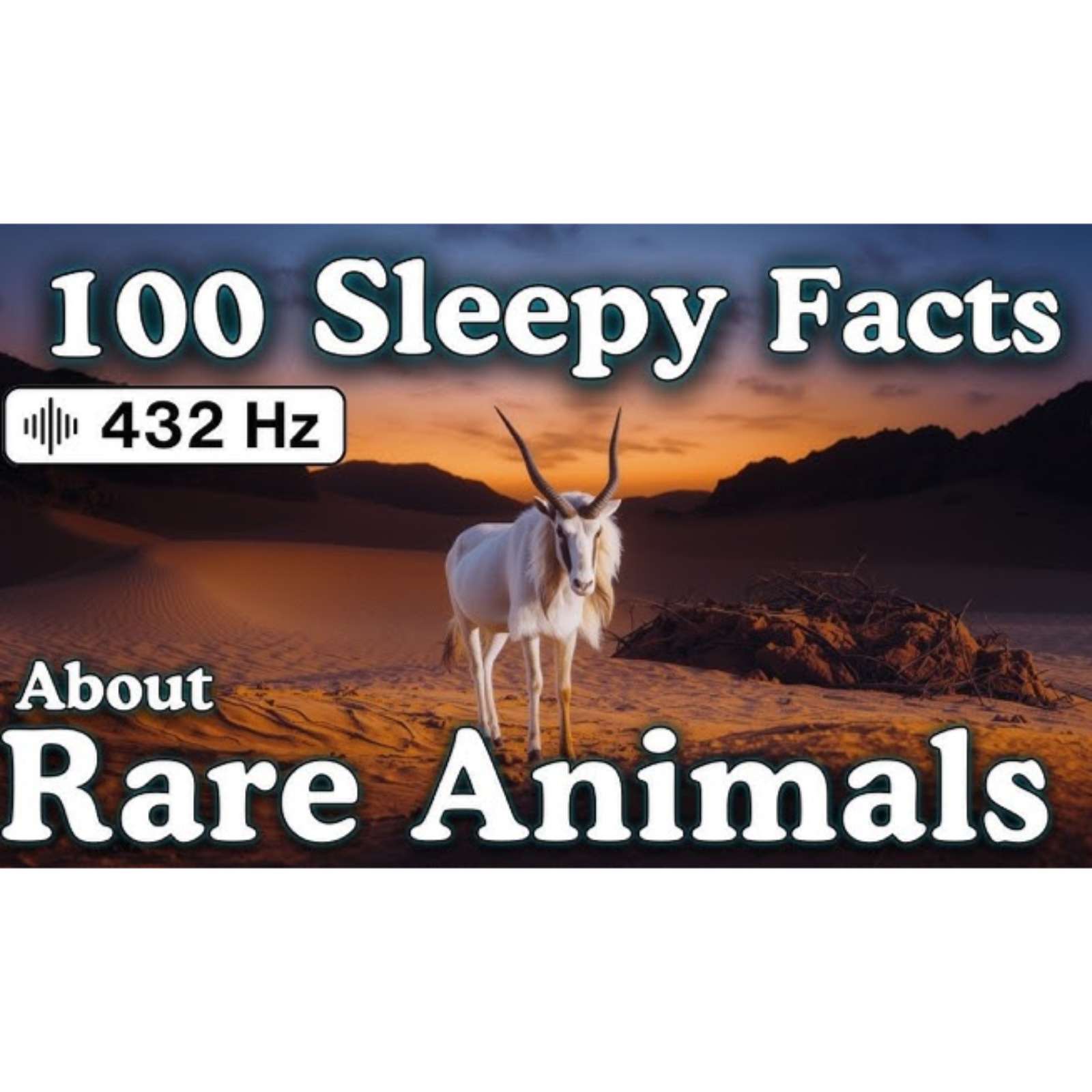 The Most Relaxing Facts About Rare Animals to Fall Asleep To — No Adverts - Sleepy Science Channel